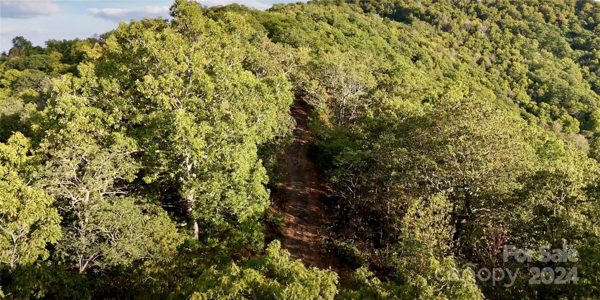 0 Arrowhead Ridge Road - Photo 7