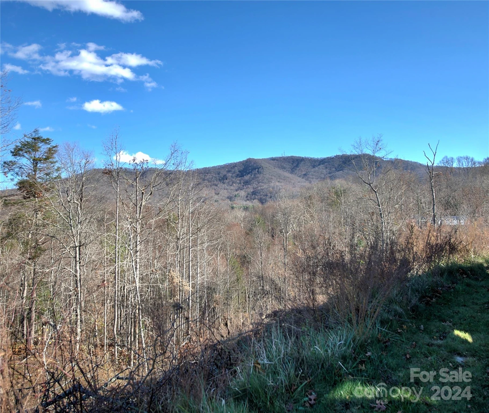 0 Arrowhead Ridge Road - Photo 10