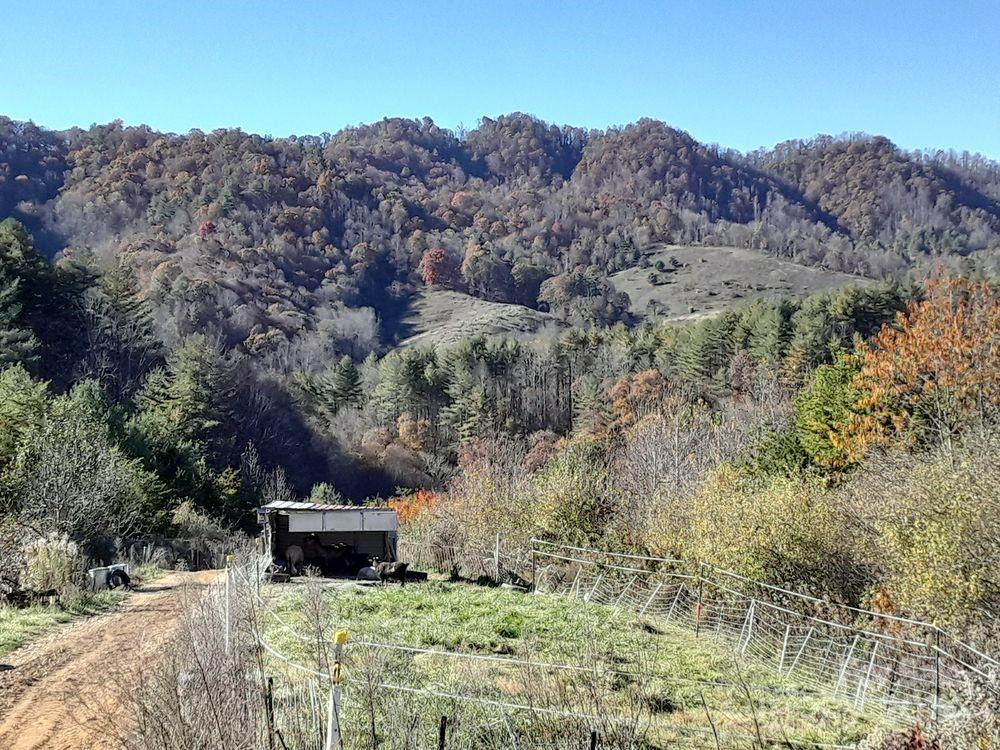 2200 Walnut Creek Road