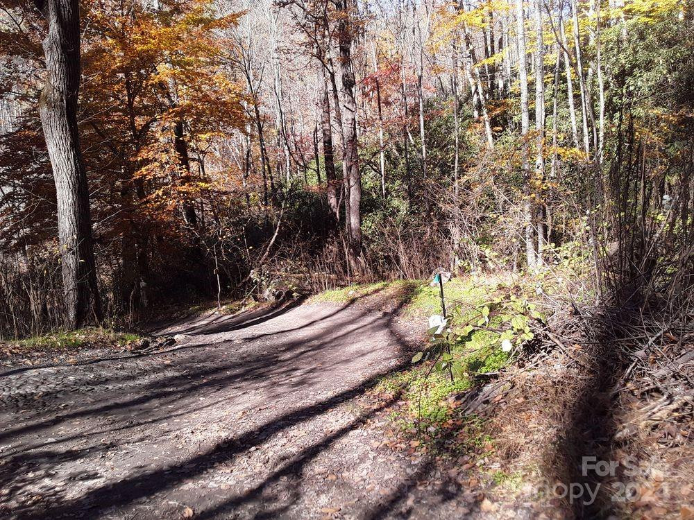 2200 Walnut Creek Road - Photo 15