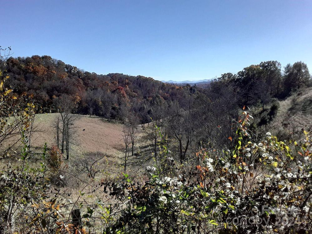 2200 Walnut Creek Road - Photo 18