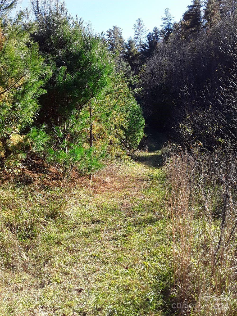 2200 Walnut Creek Road - Photo 19