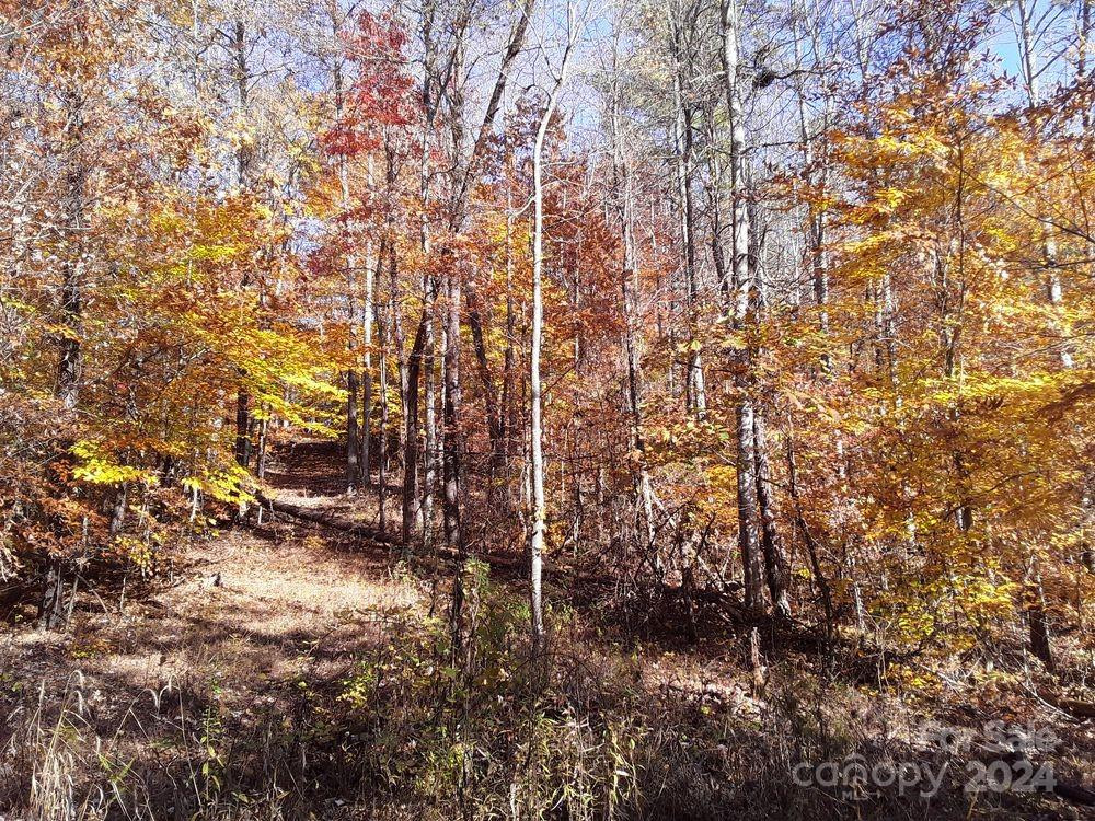 2200 Walnut Creek Road - Photo 22