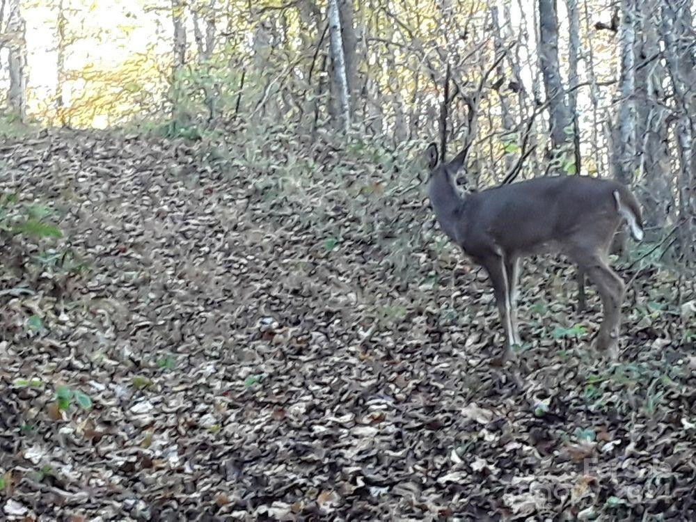 2200 Walnut Creek Road - Photo 23