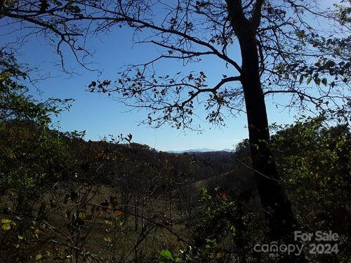 2200 Walnut Creek Road - Photo 30