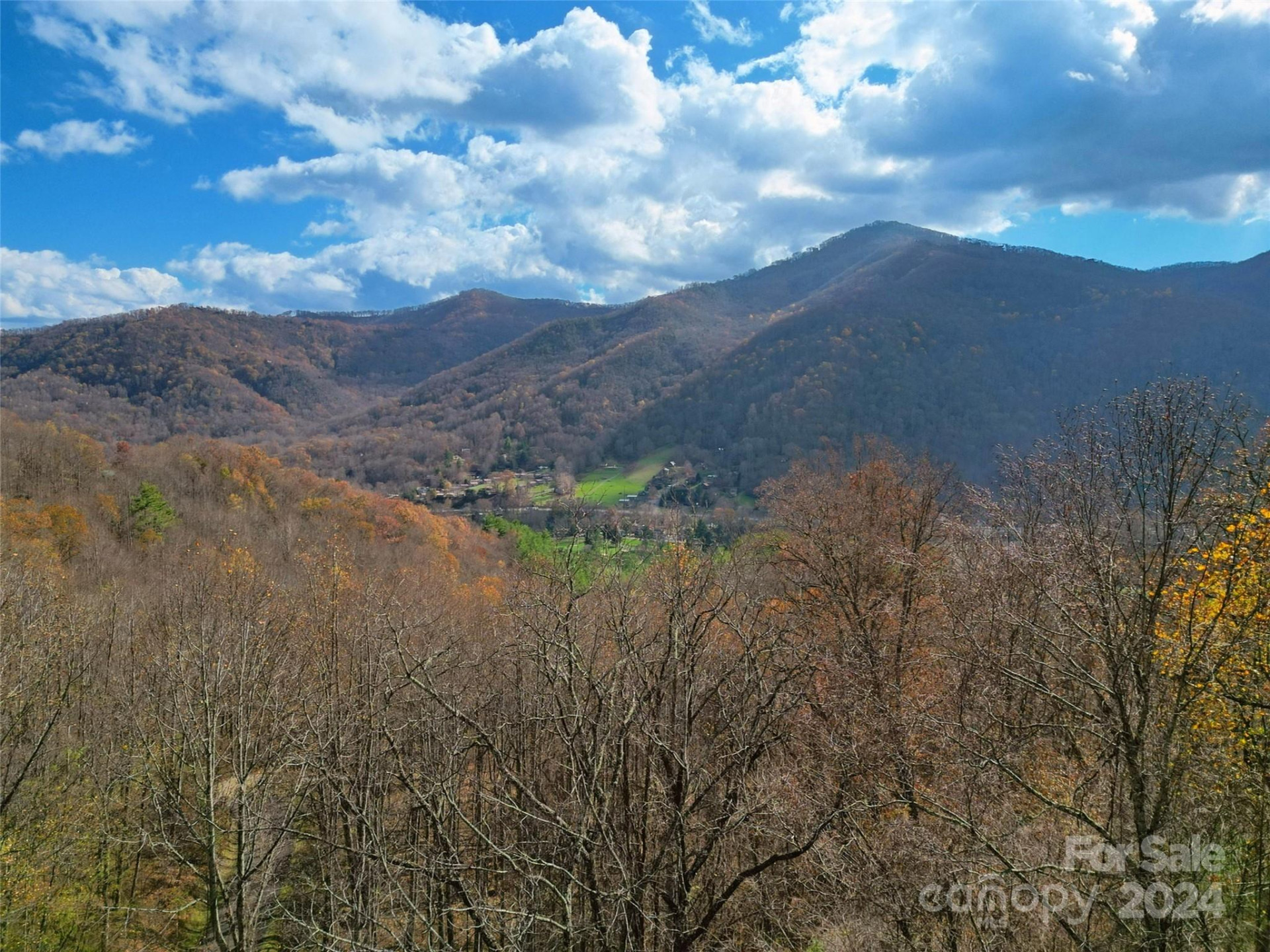 00 Scarlet Maple Lane #23 - Photo 2