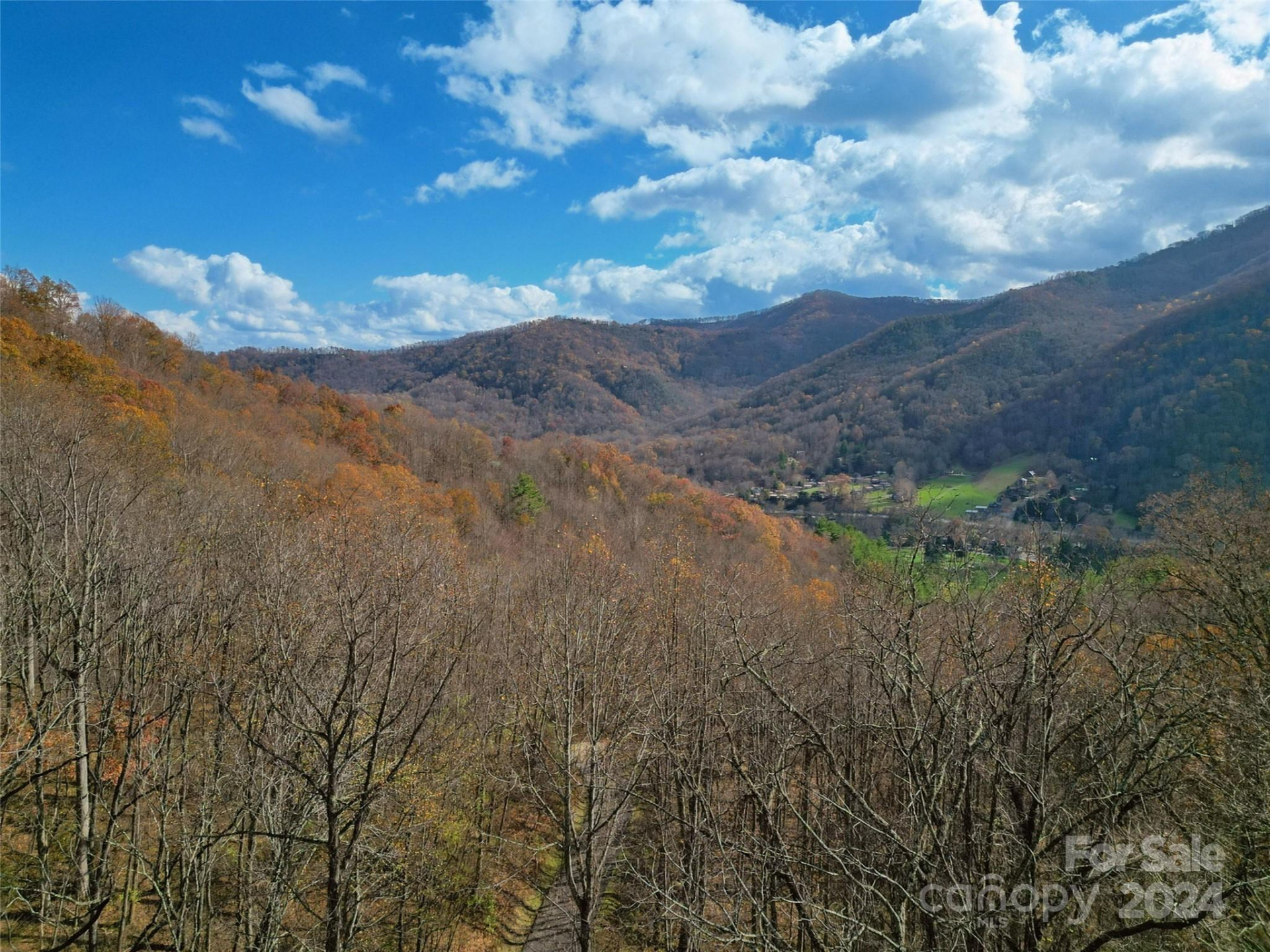 00 Scarlet Maple Lane #23 - Photo 3