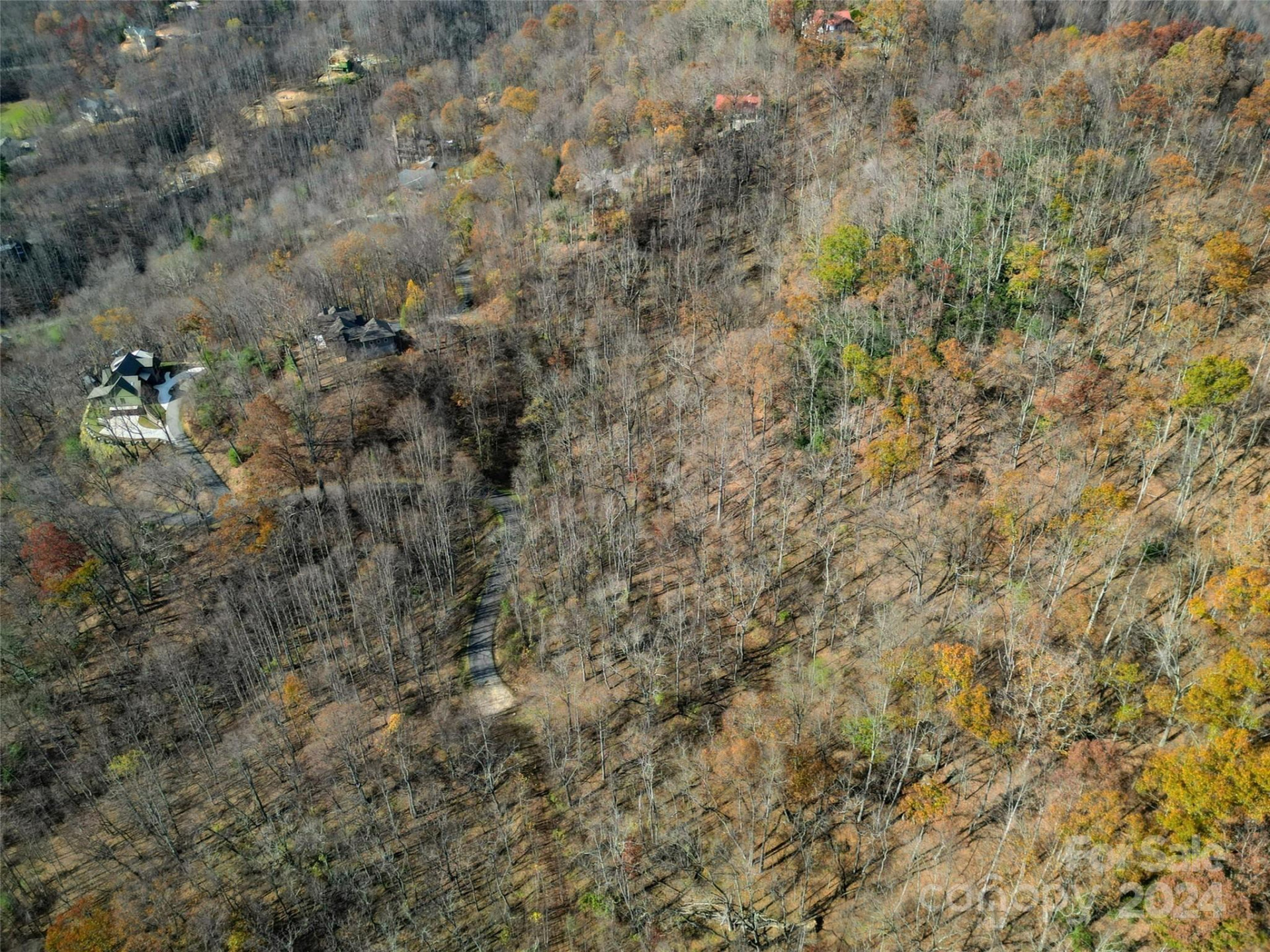 00 Scarlet Maple Lane #23 - Photo 4