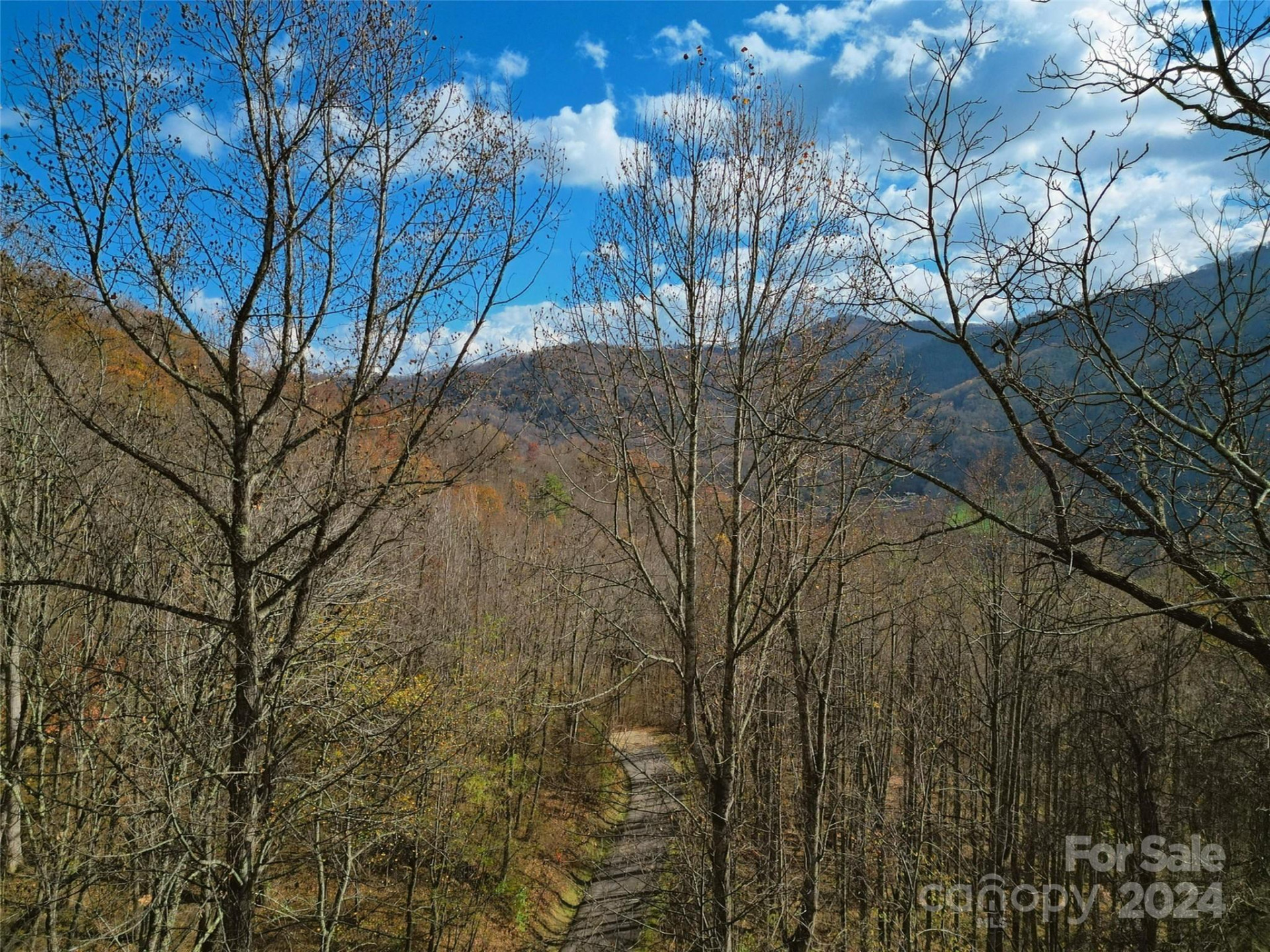 00 Scarlet Maple Lane #23 - Photo 9