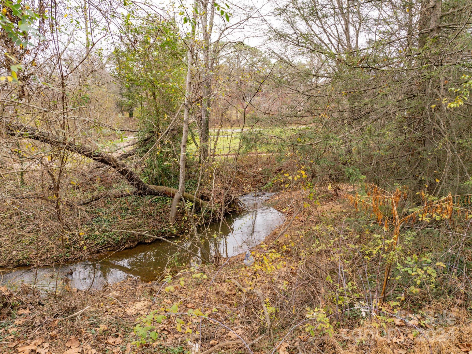 117 Cragmont Road - Photo 11