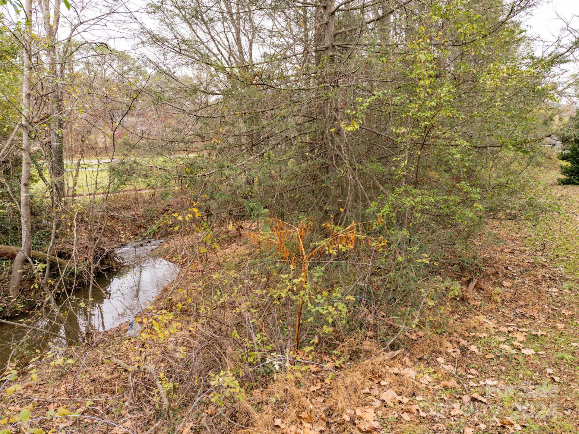 117 Cragmont Road - Photo 12