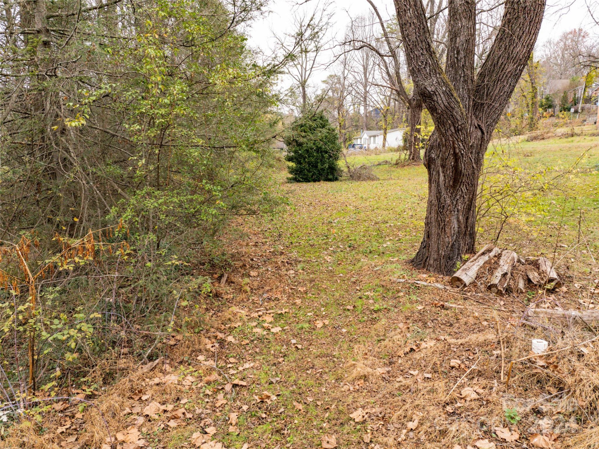 117 Cragmont Road - Photo 13