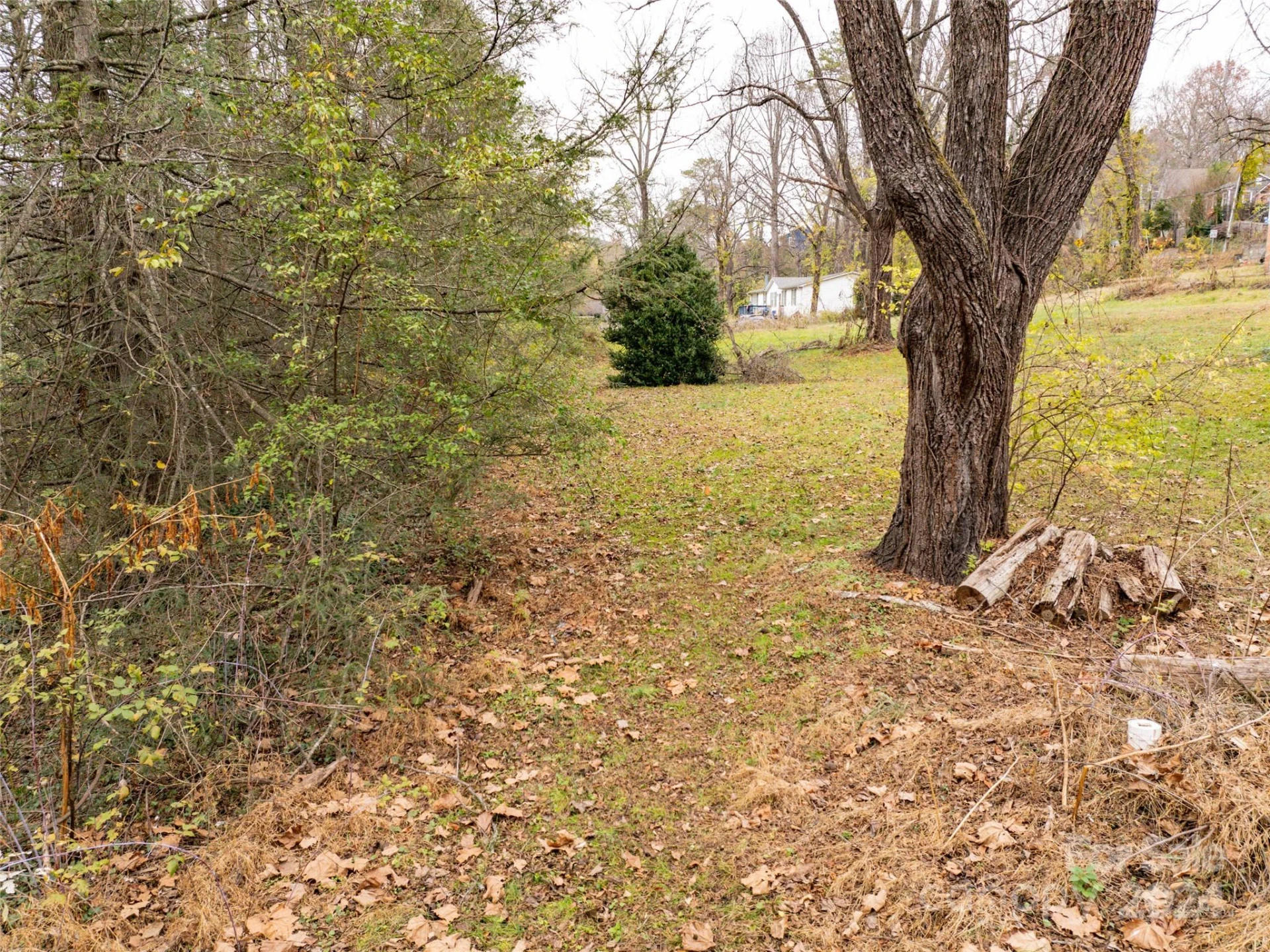 117 Cragmont Road - Photo 13