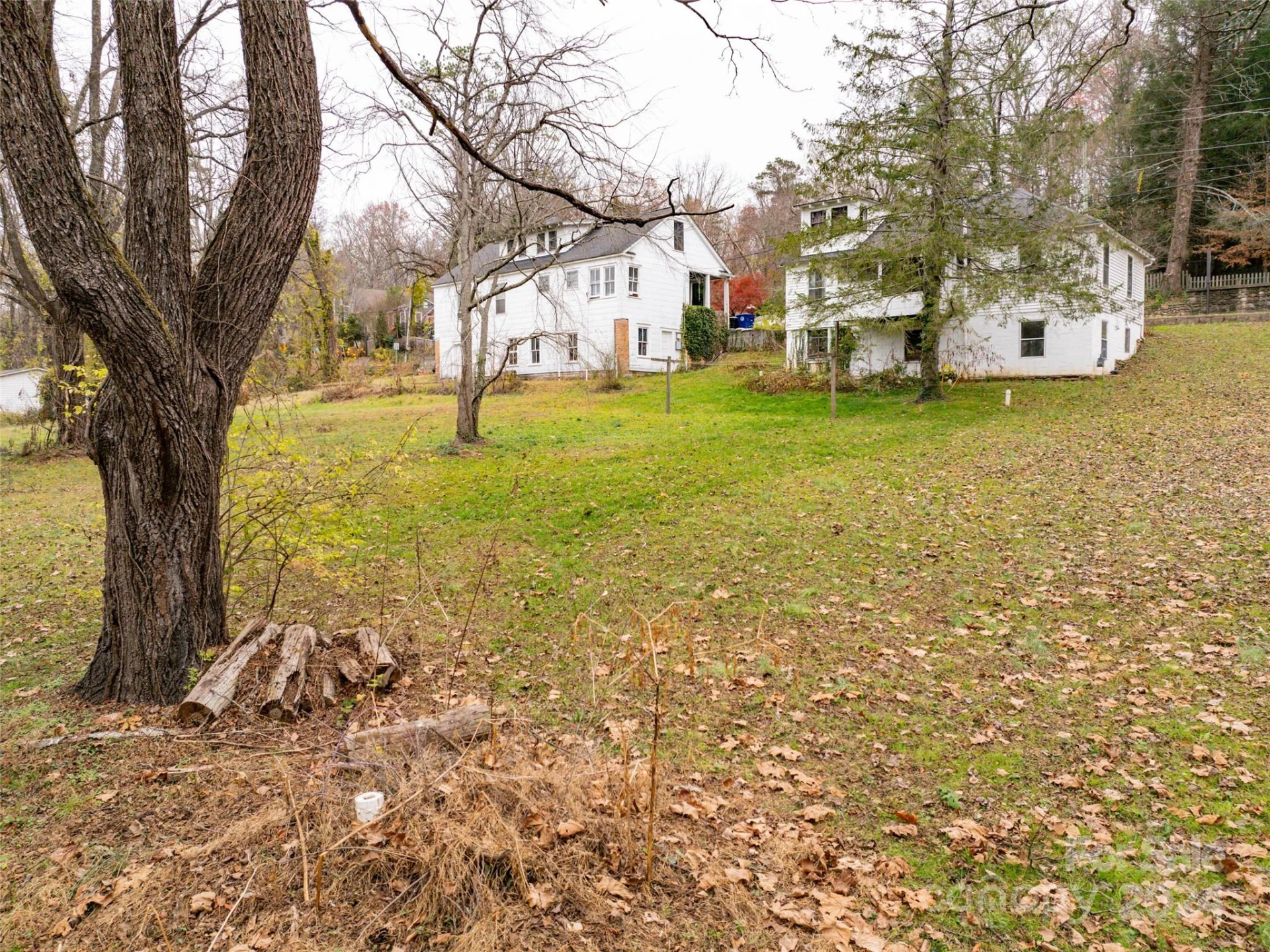 117 Cragmont Road - Photo 14