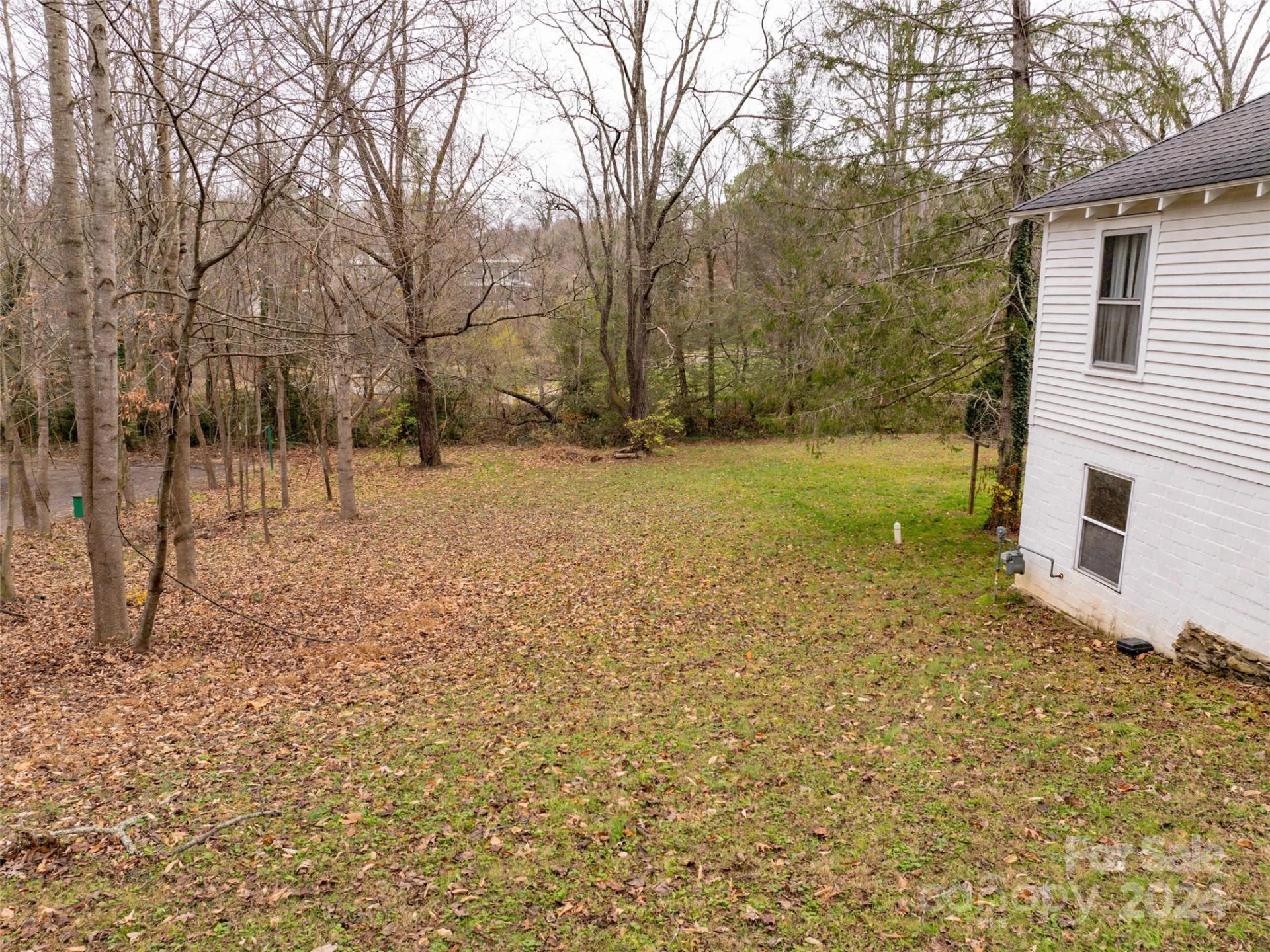 117 Cragmont Road - Photo 8