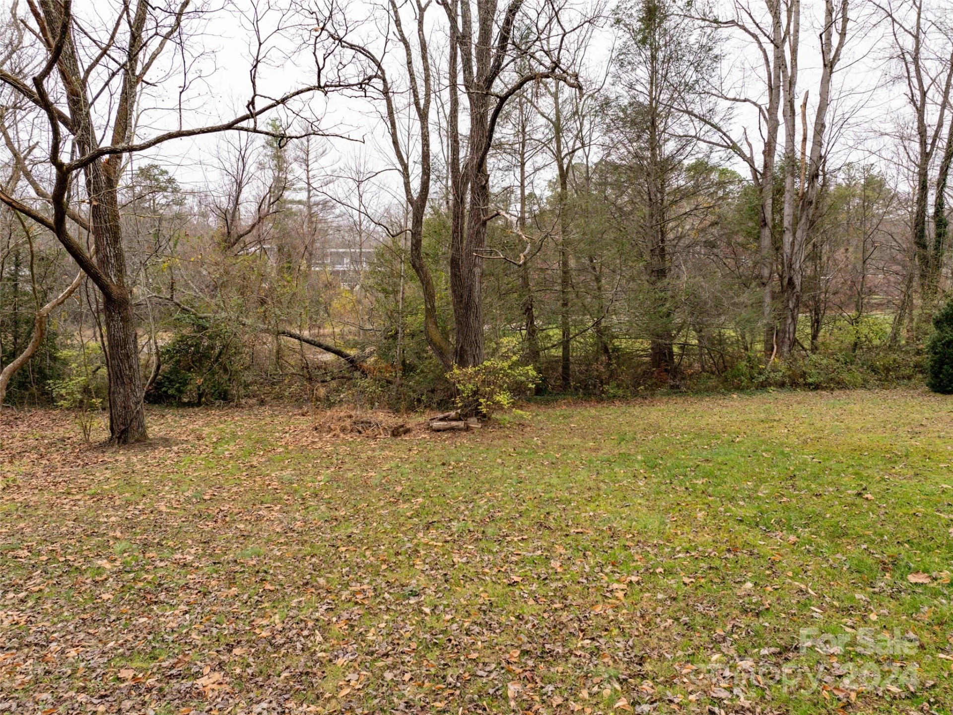 117 Cragmont Road - Photo 9