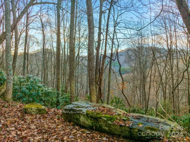 370 Cabin Creek Trail