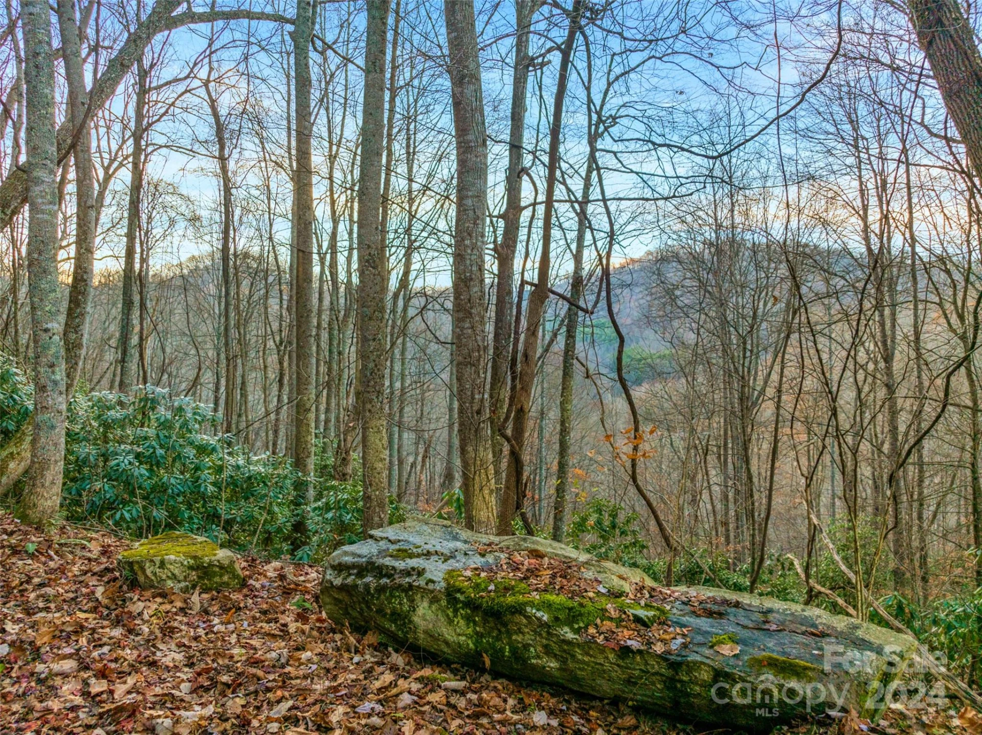 370 Cabin Creek Trail
