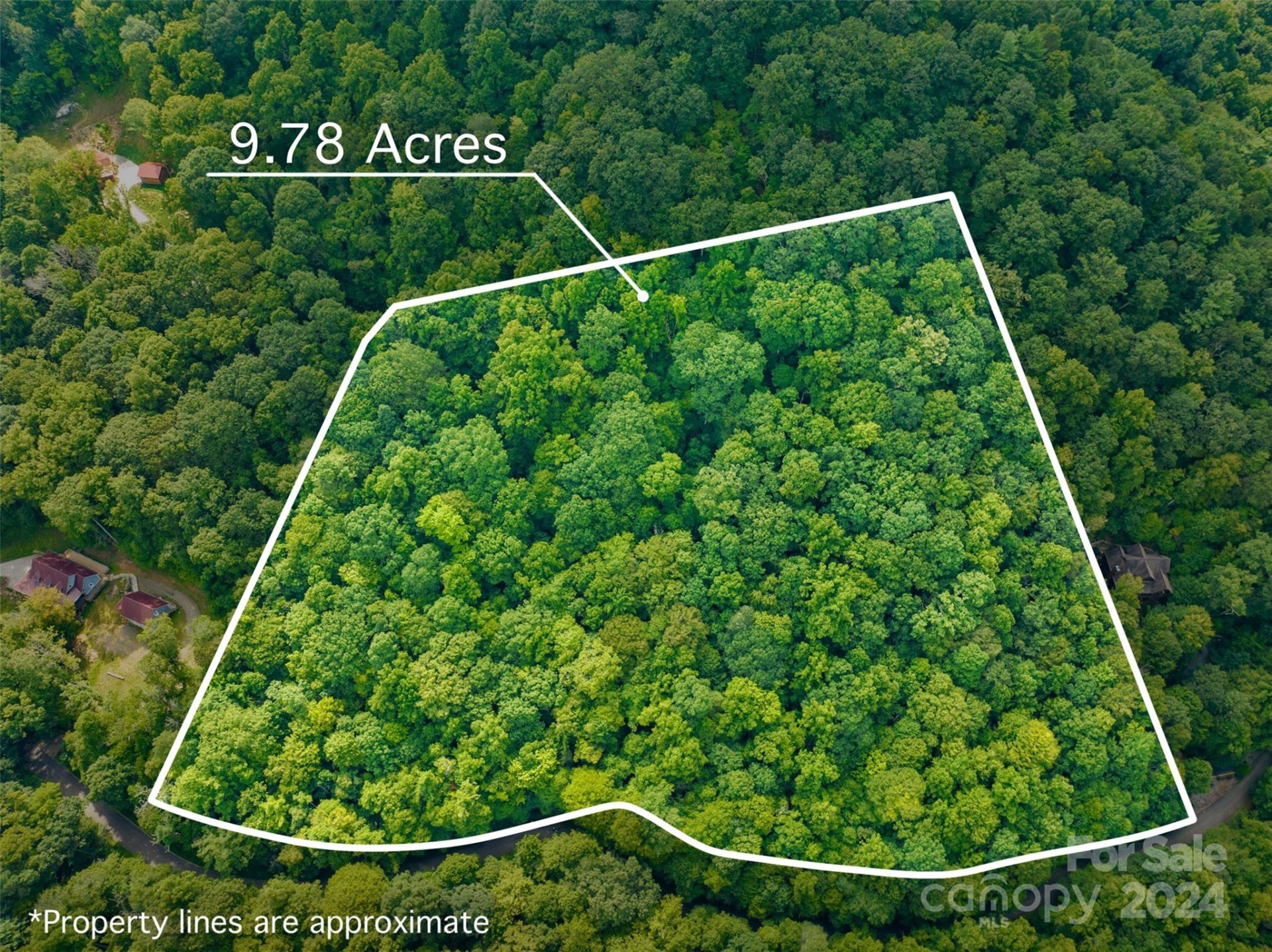 370 Cabin Creek Trail - Photo 2