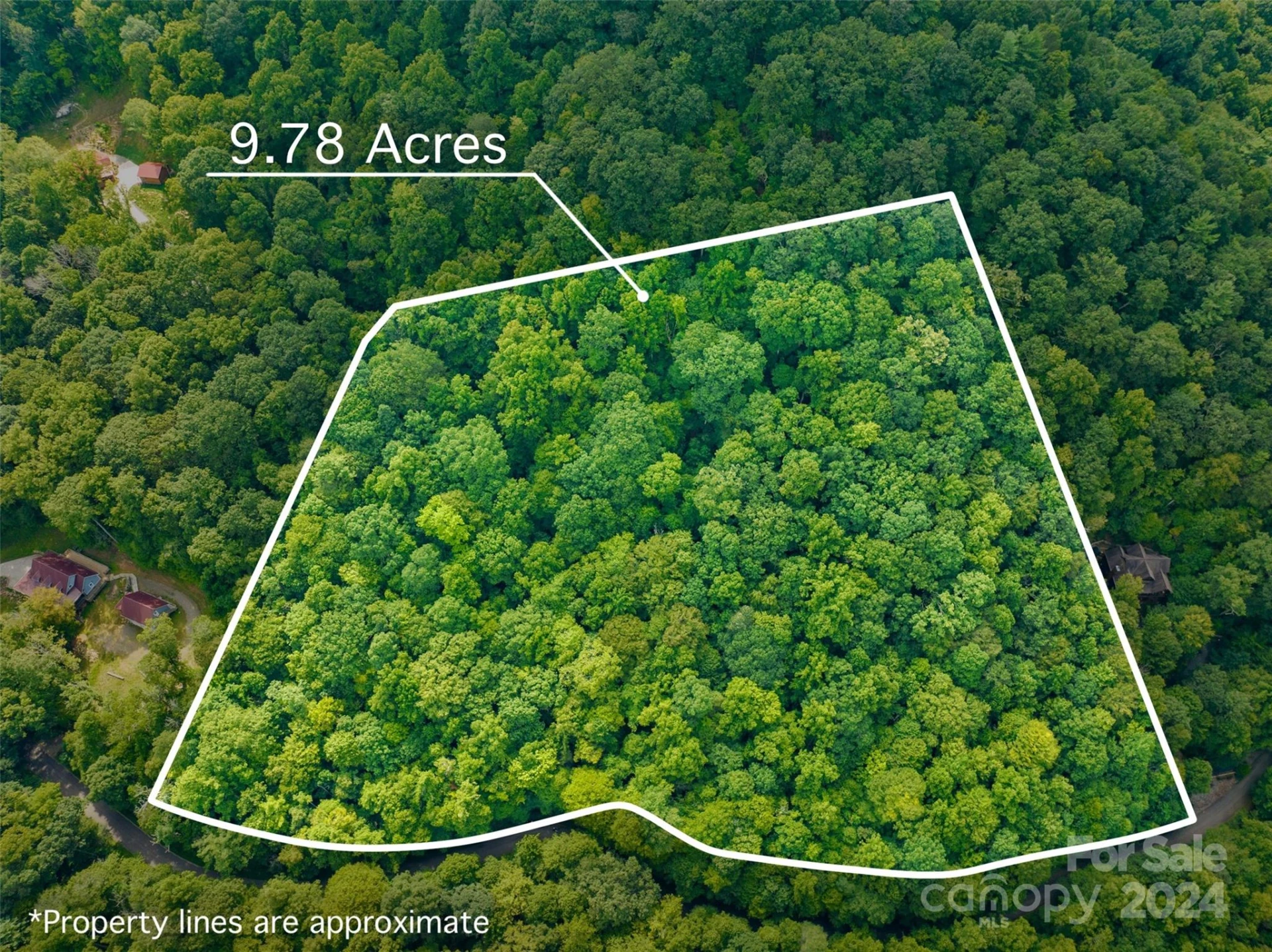 370 Cabin Creek Trail - Photo 2