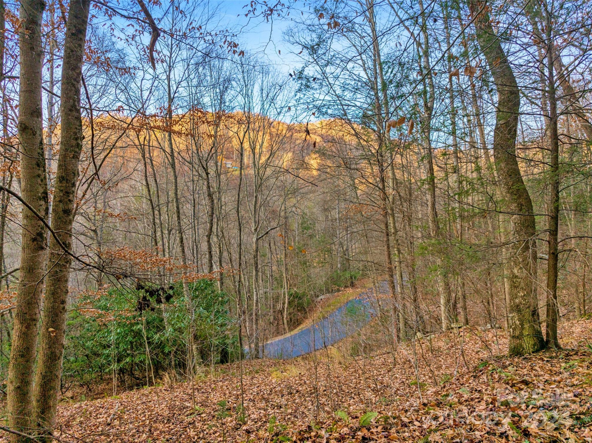 370 Cabin Creek Trail - Photo 11