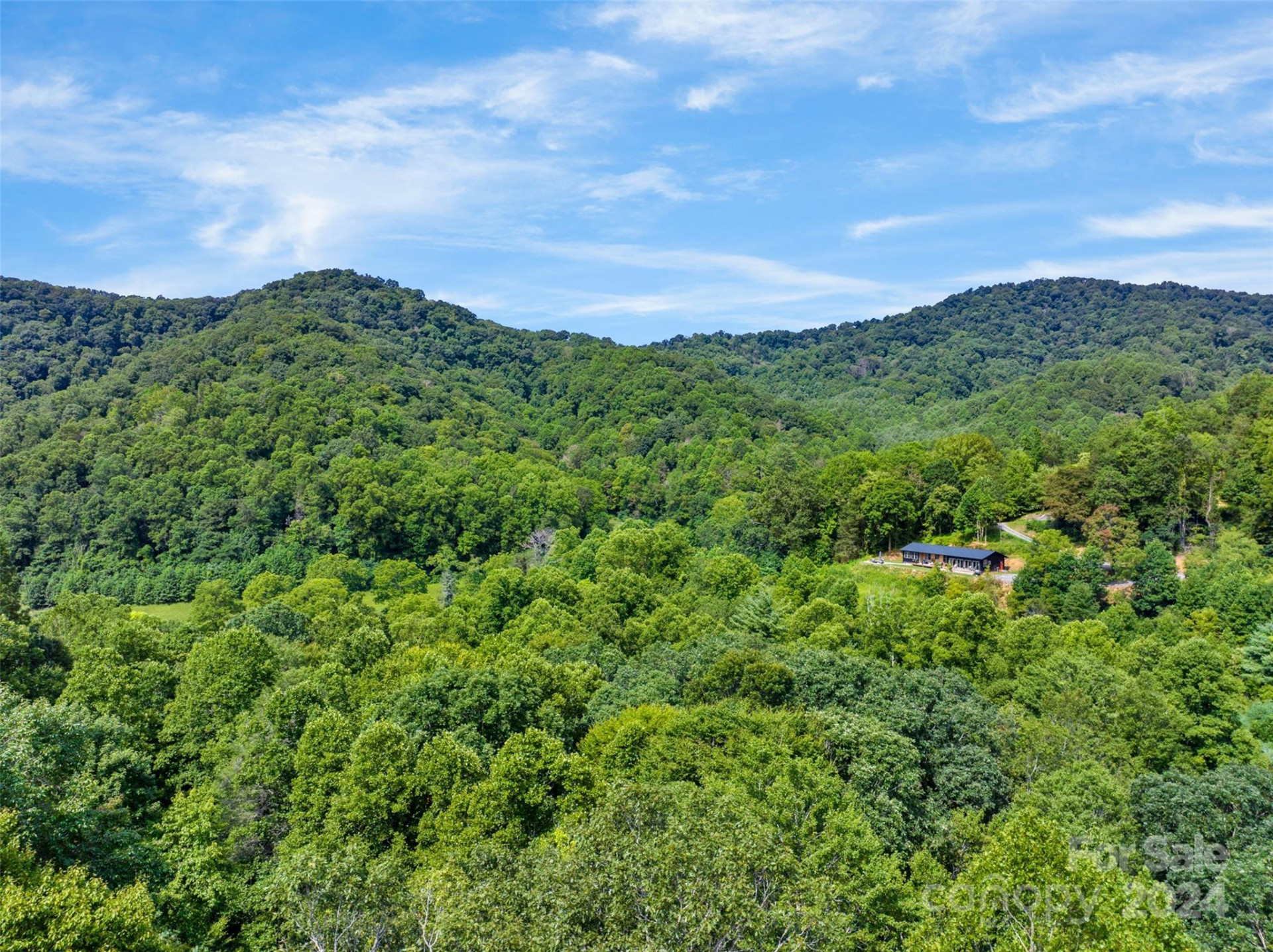 370 Cabin Creek Trail - Photo 12