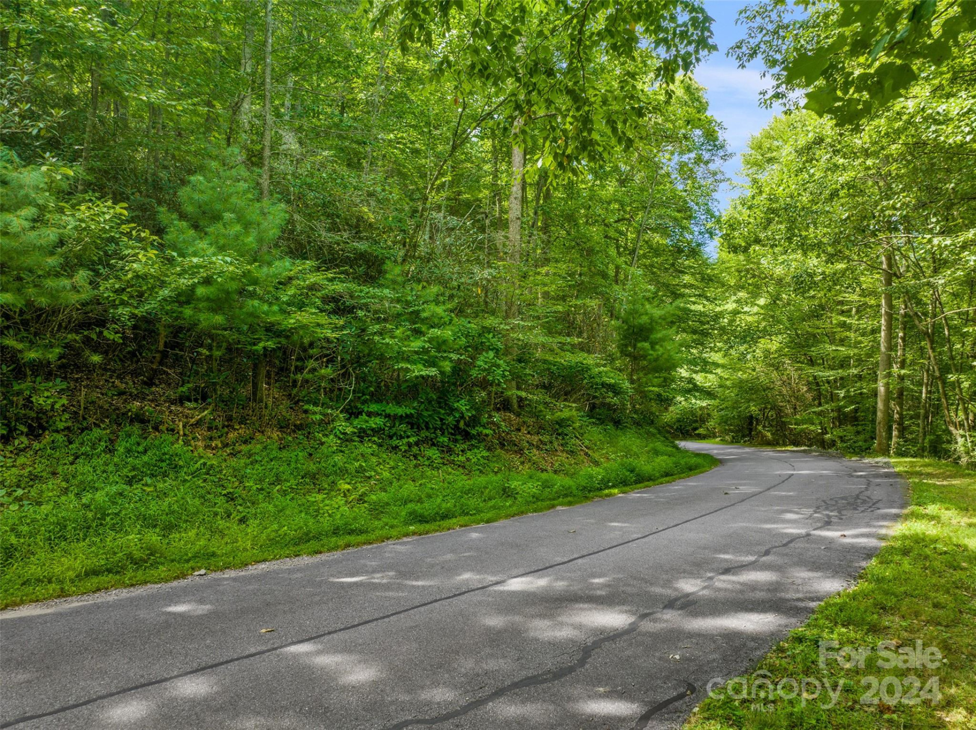 370 Cabin Creek Trail - Photo 14