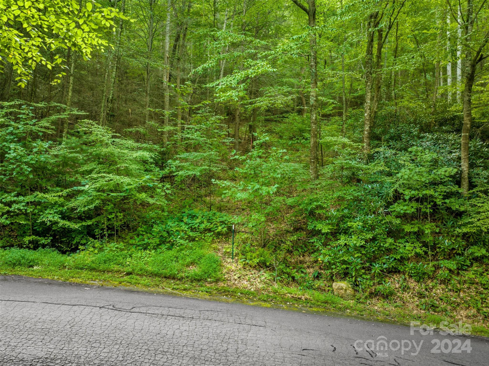 370 Cabin Creek Trail - Photo 15