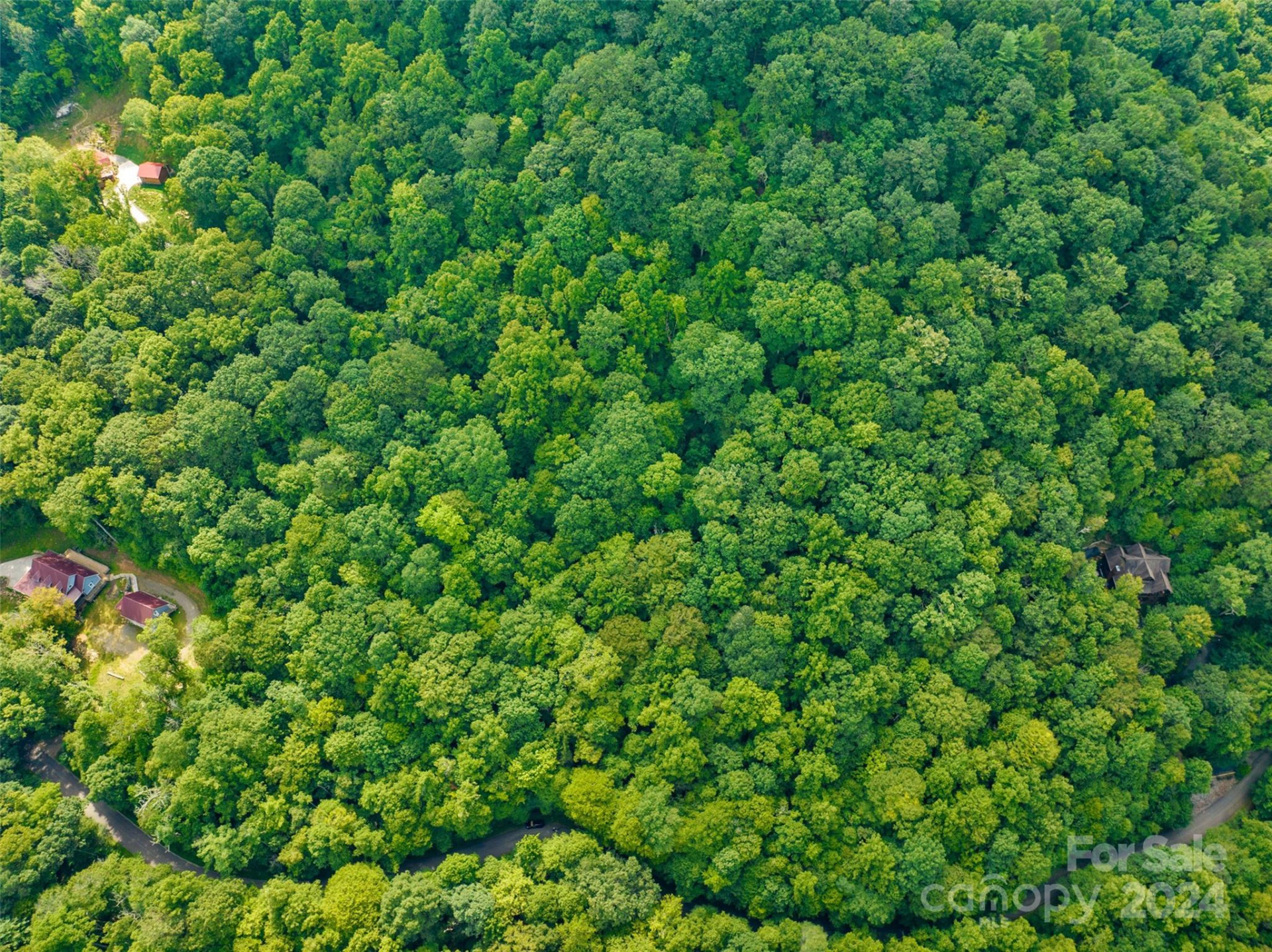 370 Cabin Creek Trail - Photo 20