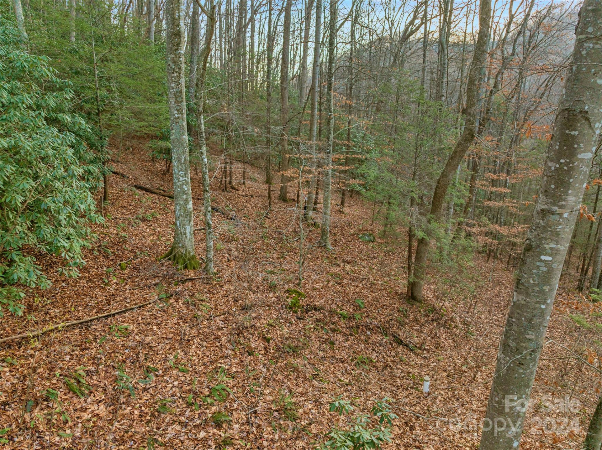 370 Cabin Creek Trail - Photo 5