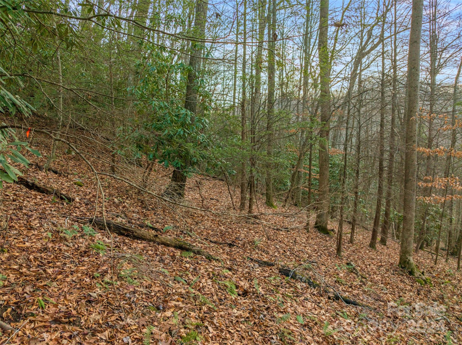 370 Cabin Creek Trail - Photo 6