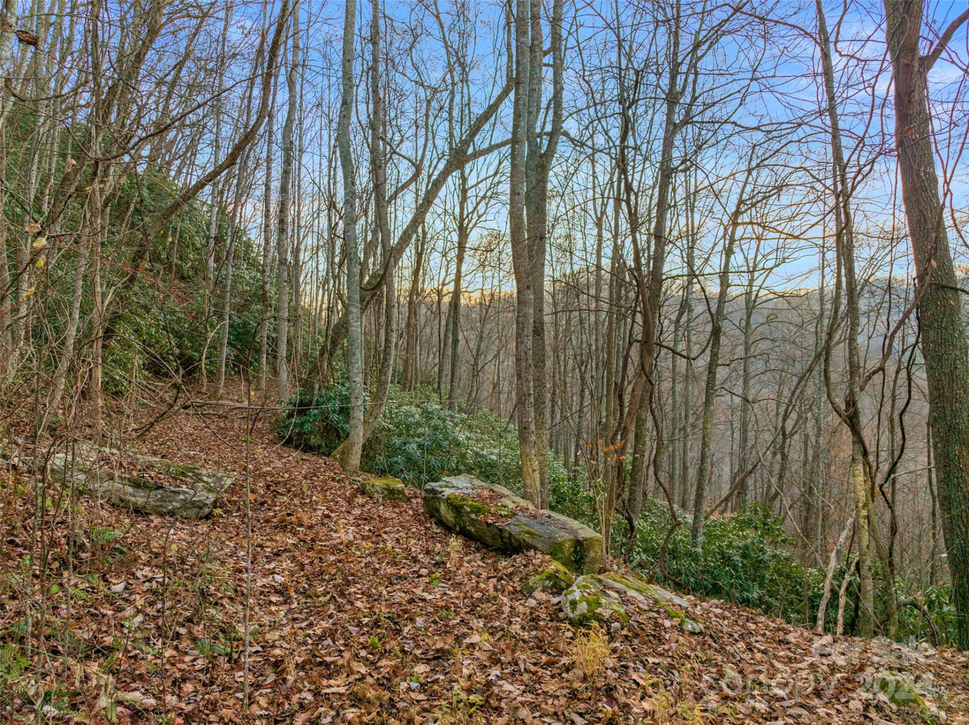 370 Cabin Creek Trail - Photo 8