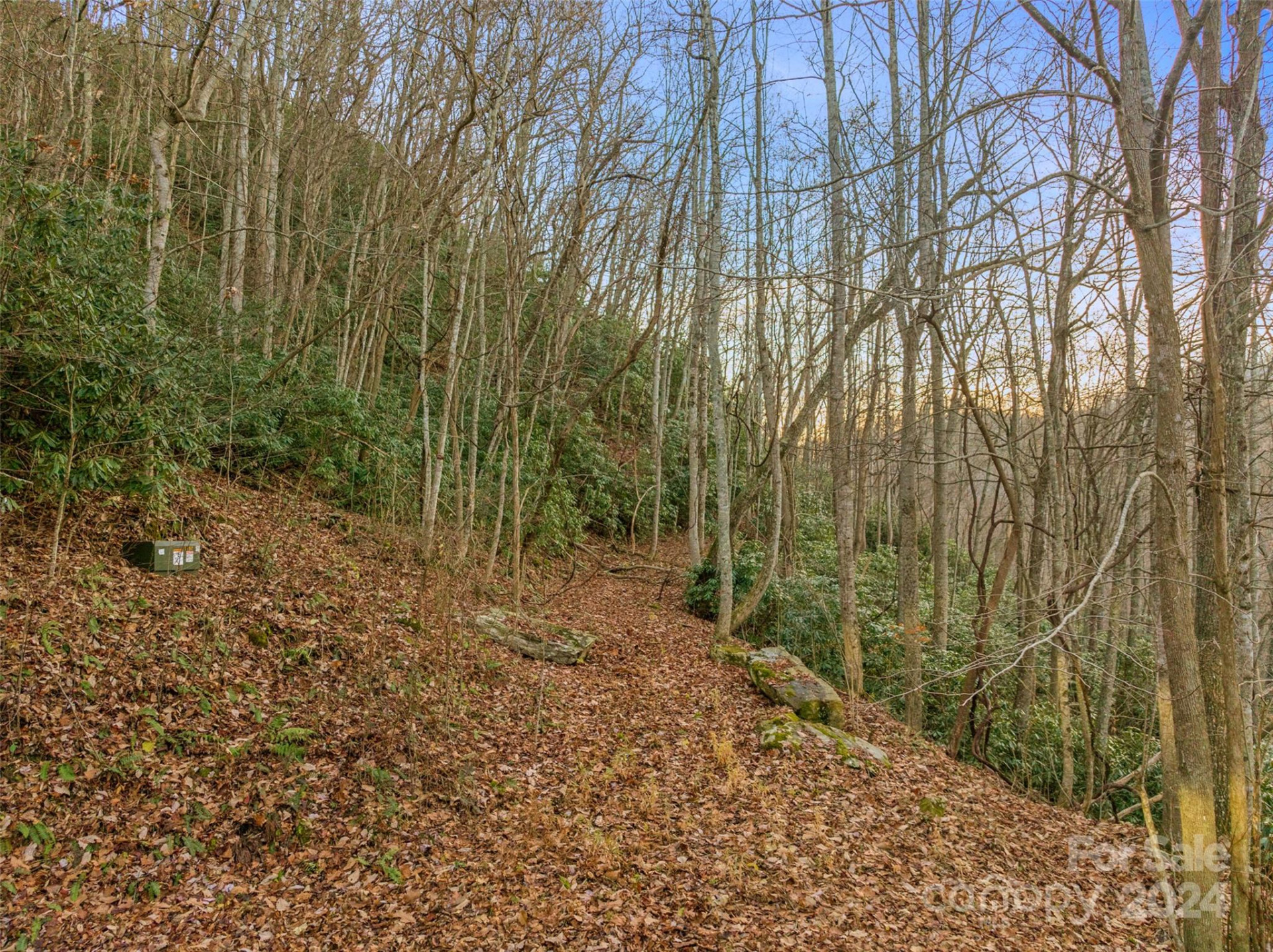 370 Cabin Creek Trail - Photo 9