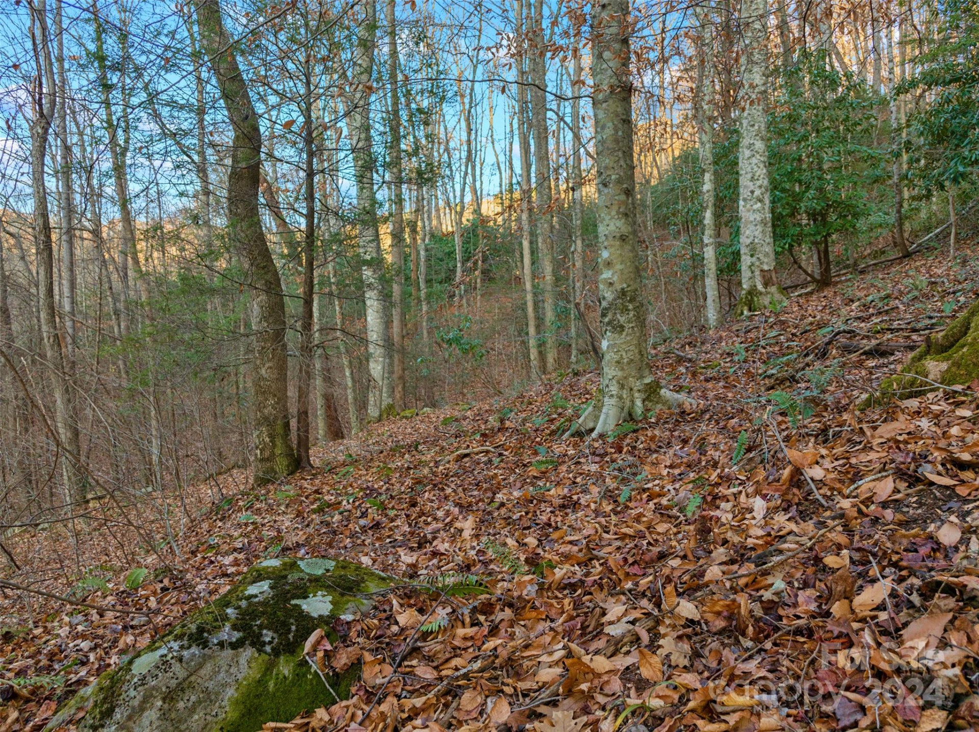 370 Cabin Creek Trail - Photo 10