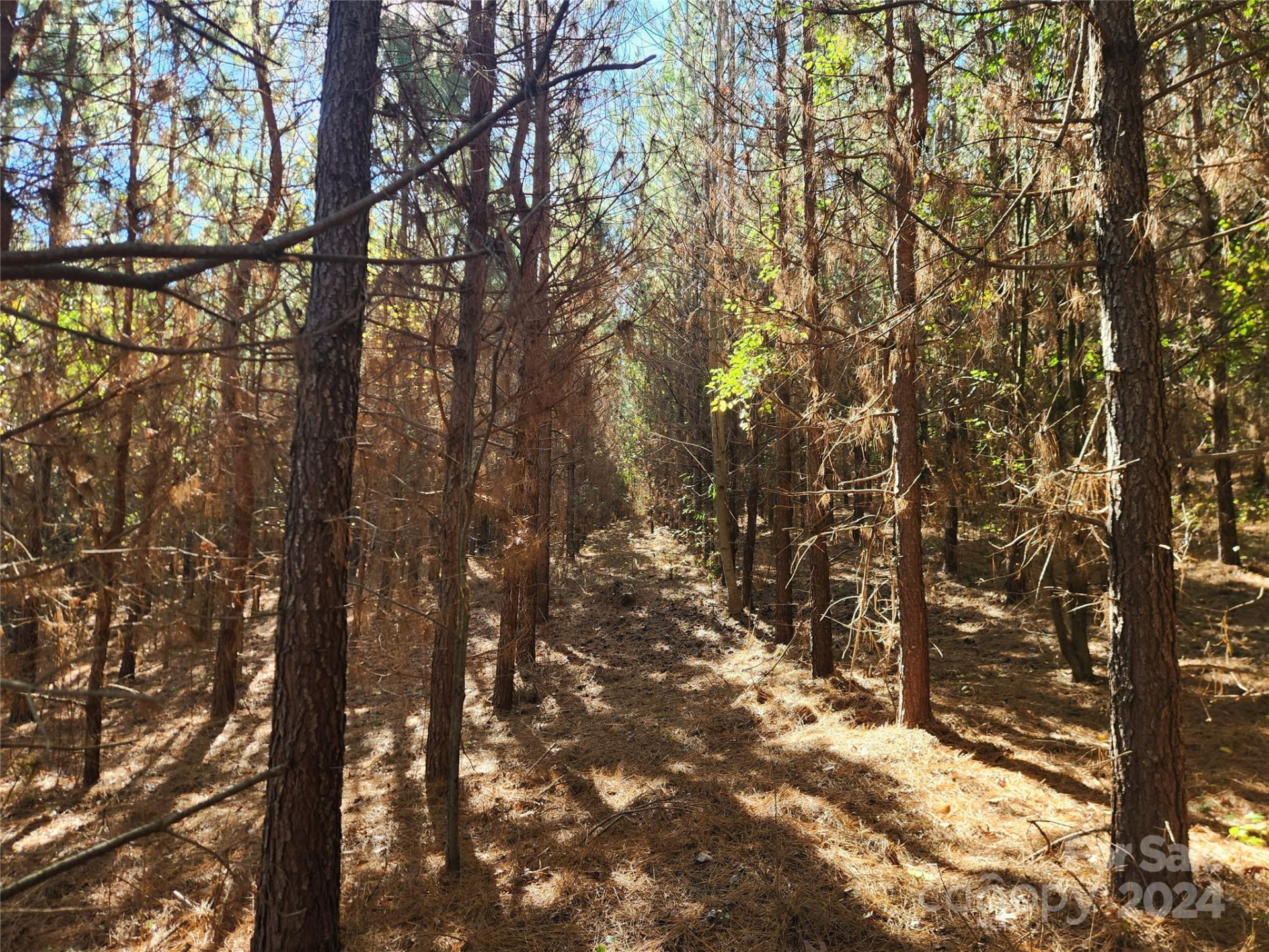 451 Low Bridge Road - Photo 15