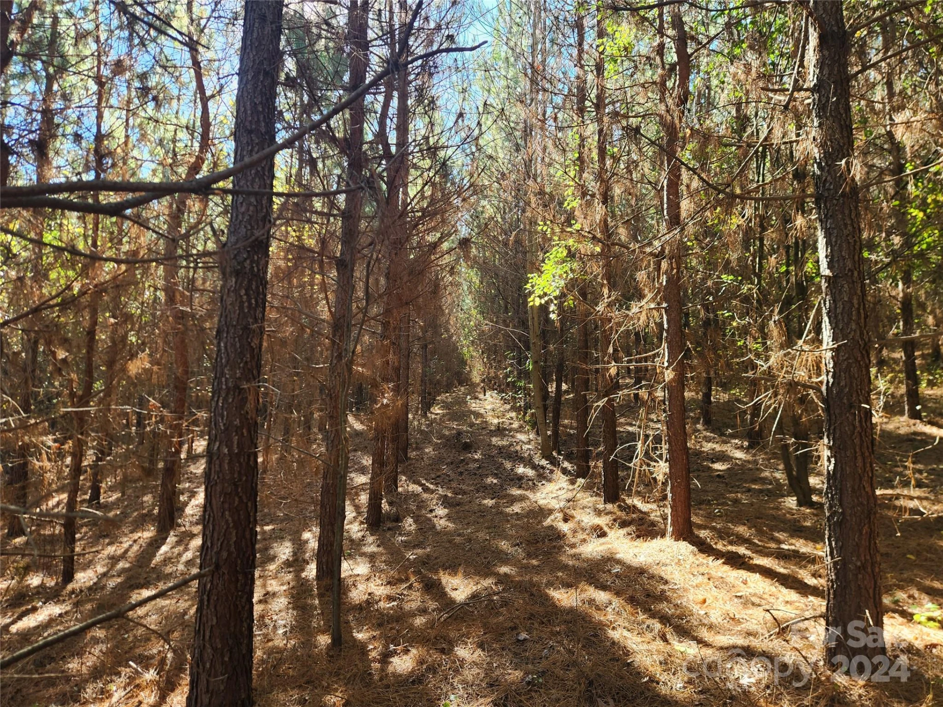 451 Low Bridge Road - Photo 15