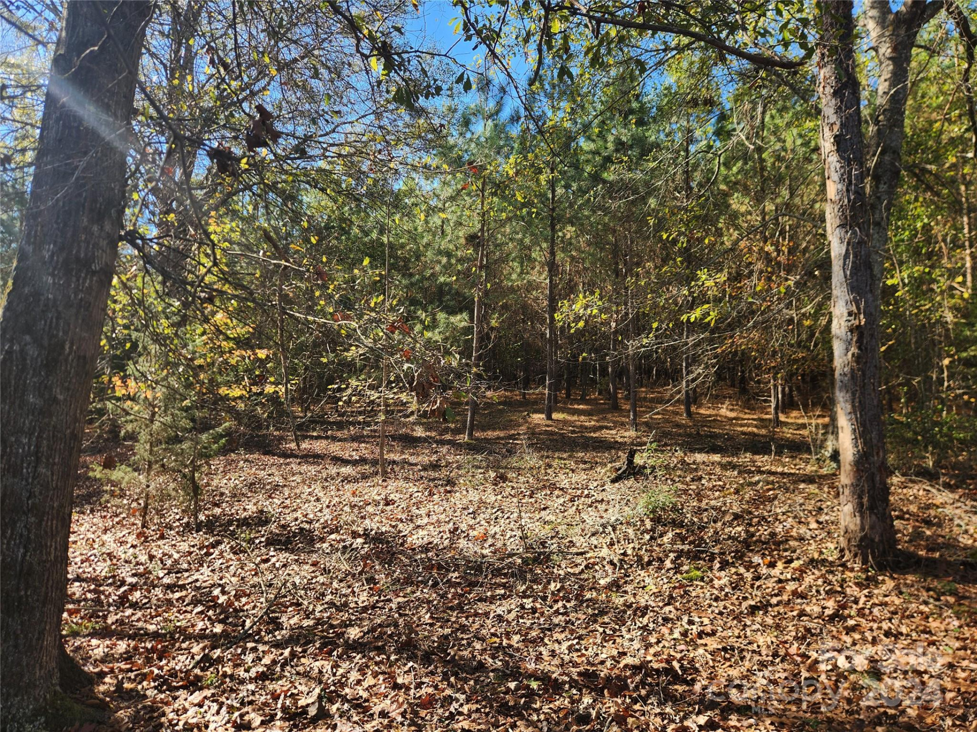 451 Low Bridge Road - Photo 16