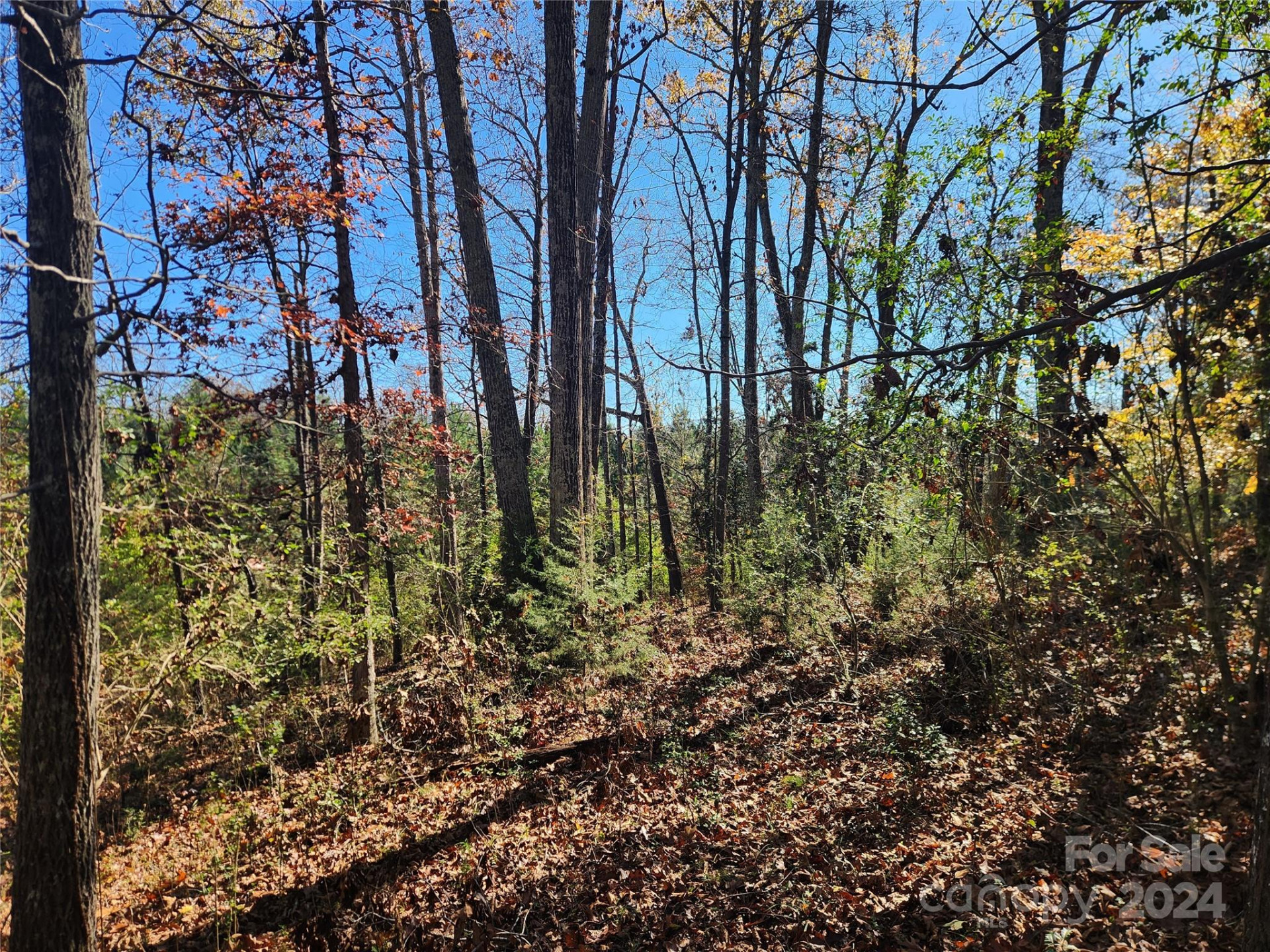 451 Low Bridge Road - Photo 17