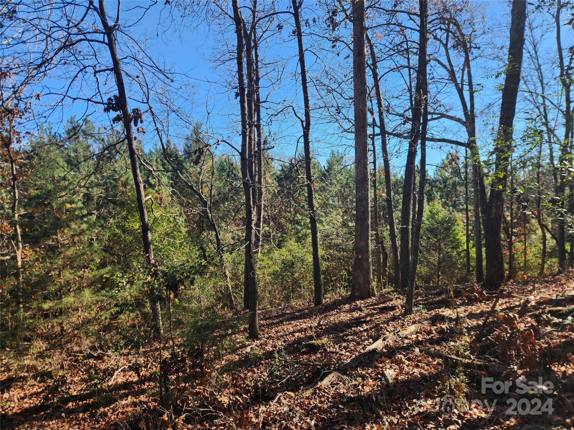 451 Low Bridge Road - Photo 18