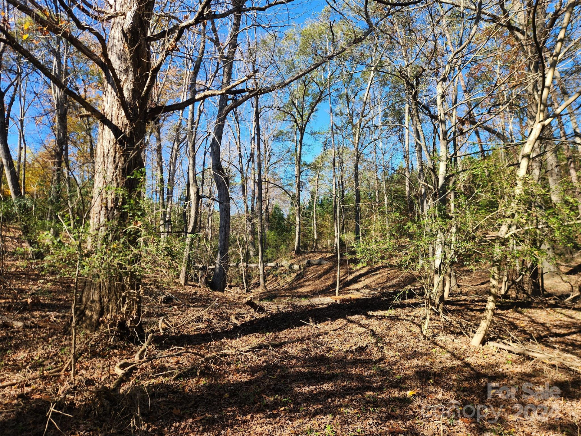 451 Low Bridge Road - Photo 3