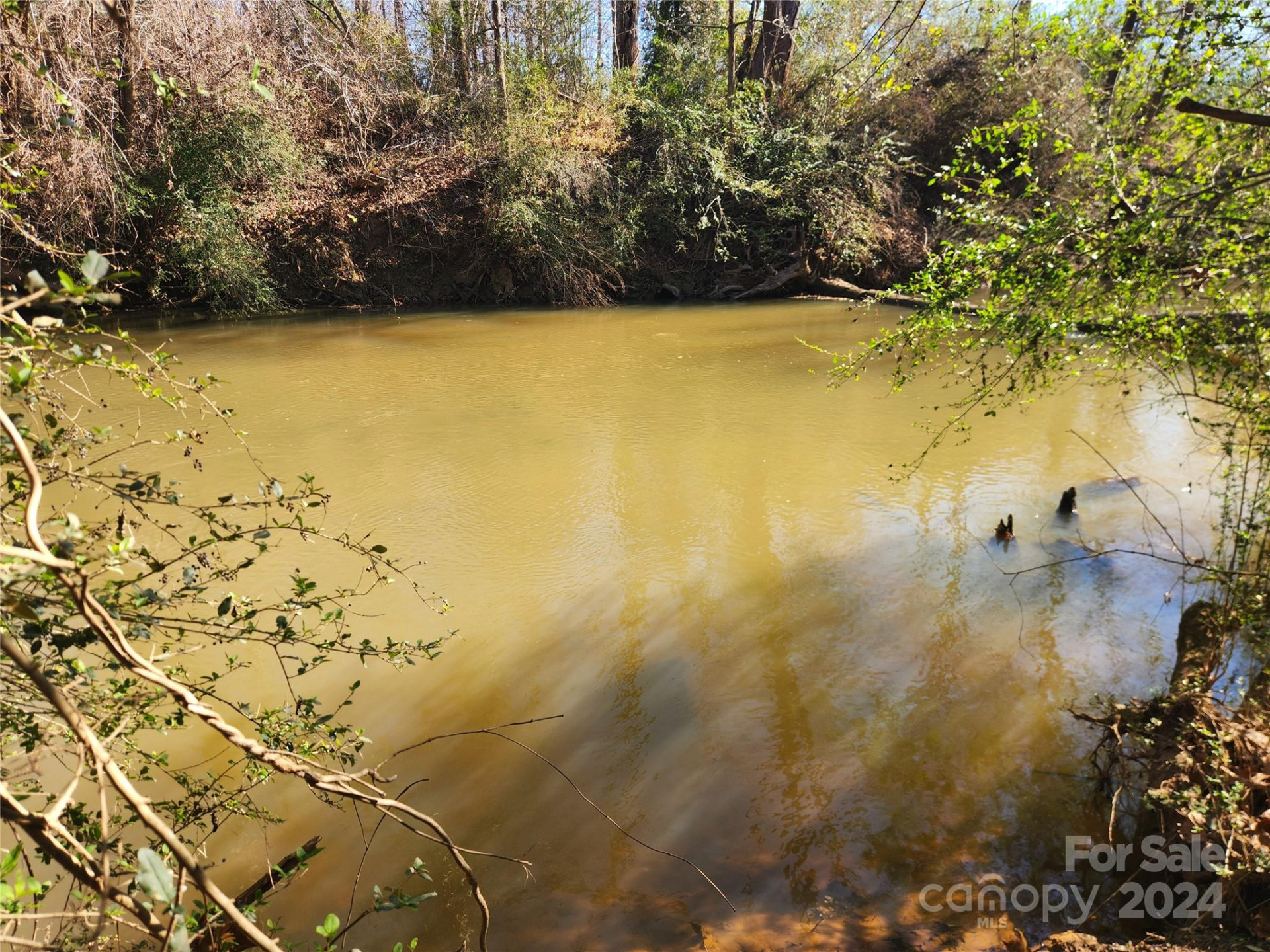 451 Low Bridge Road - Photo 23