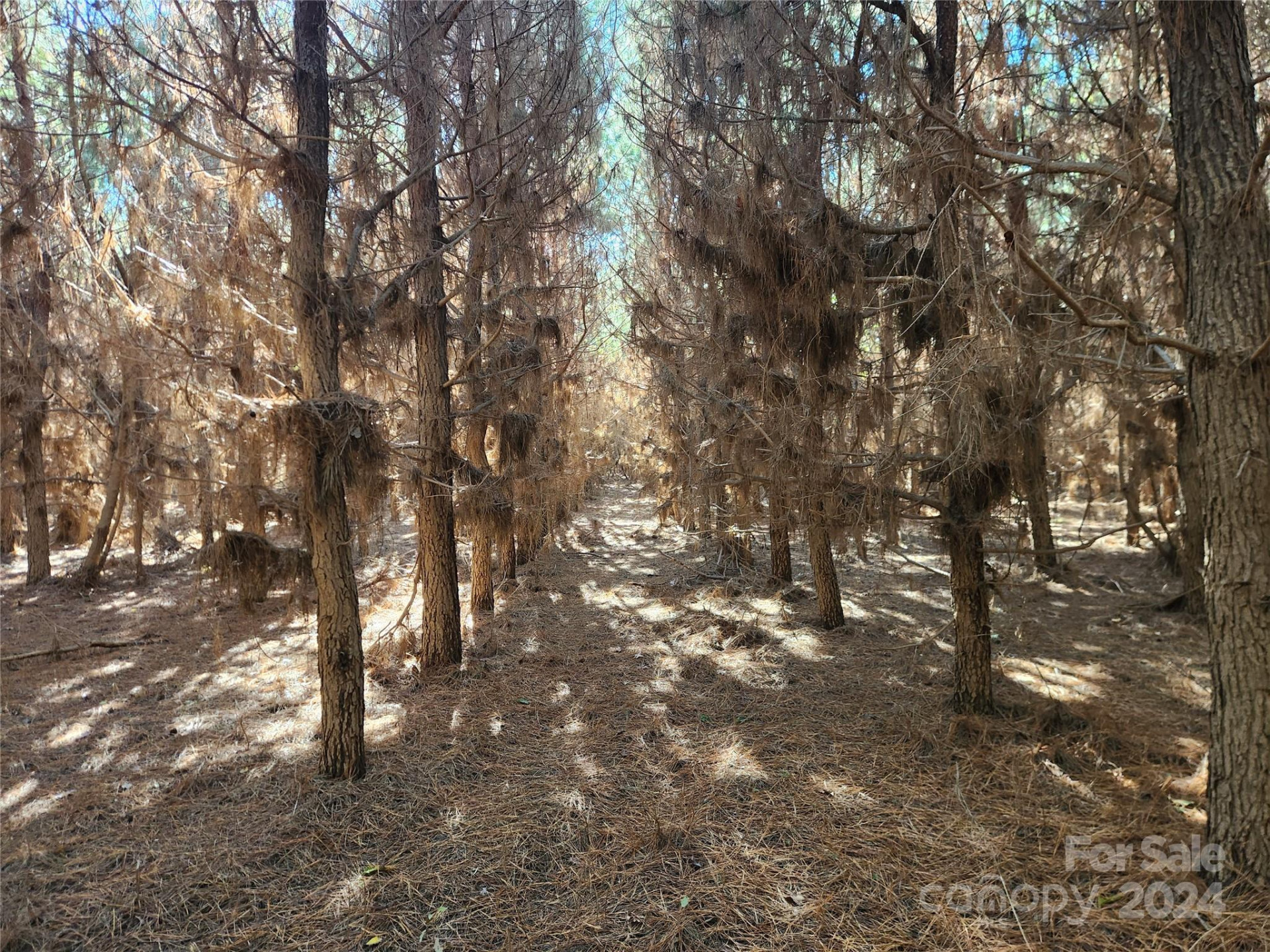 451 Low Bridge Road - Photo 28