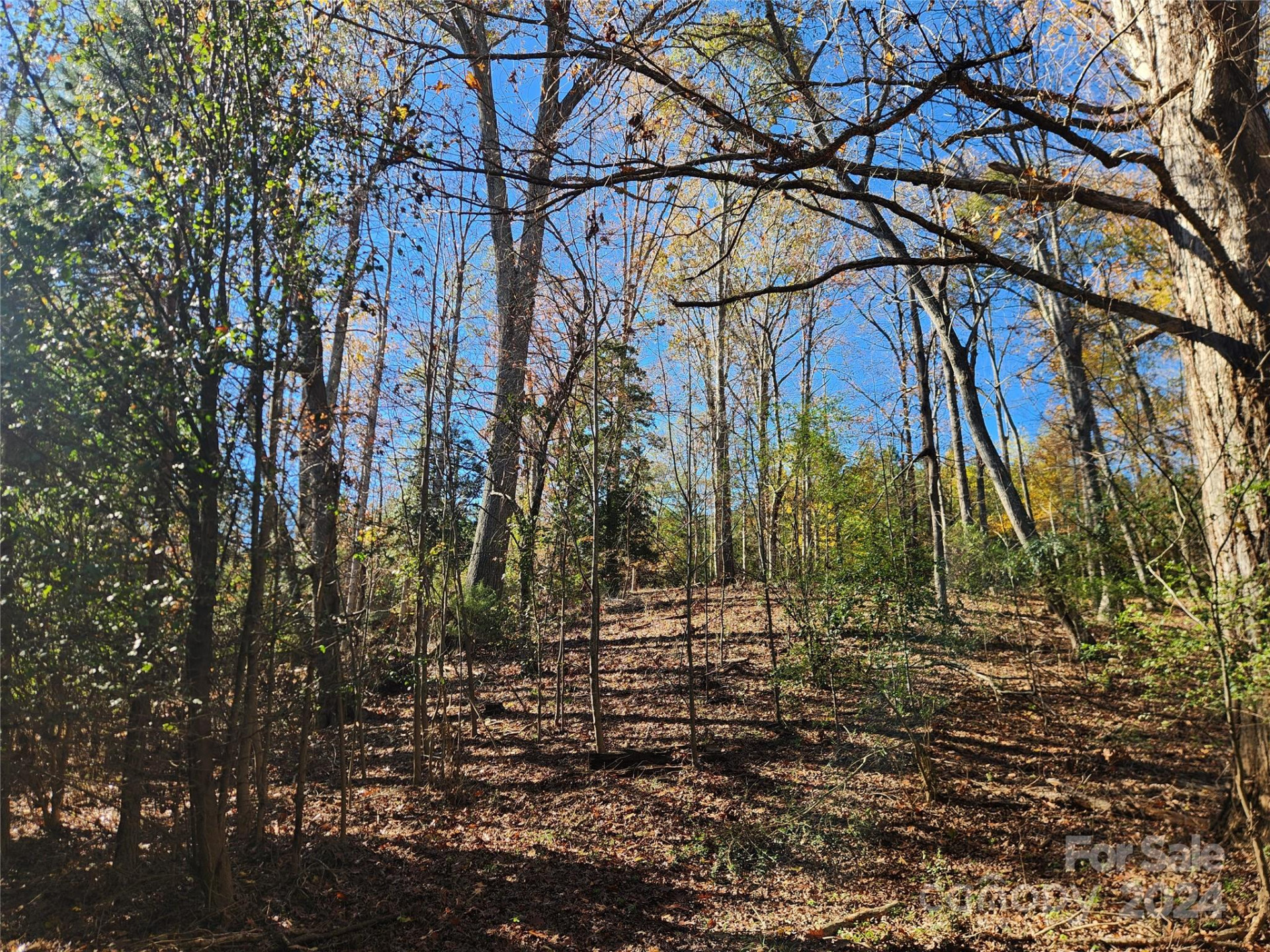 451 Low Bridge Road - Photo 29