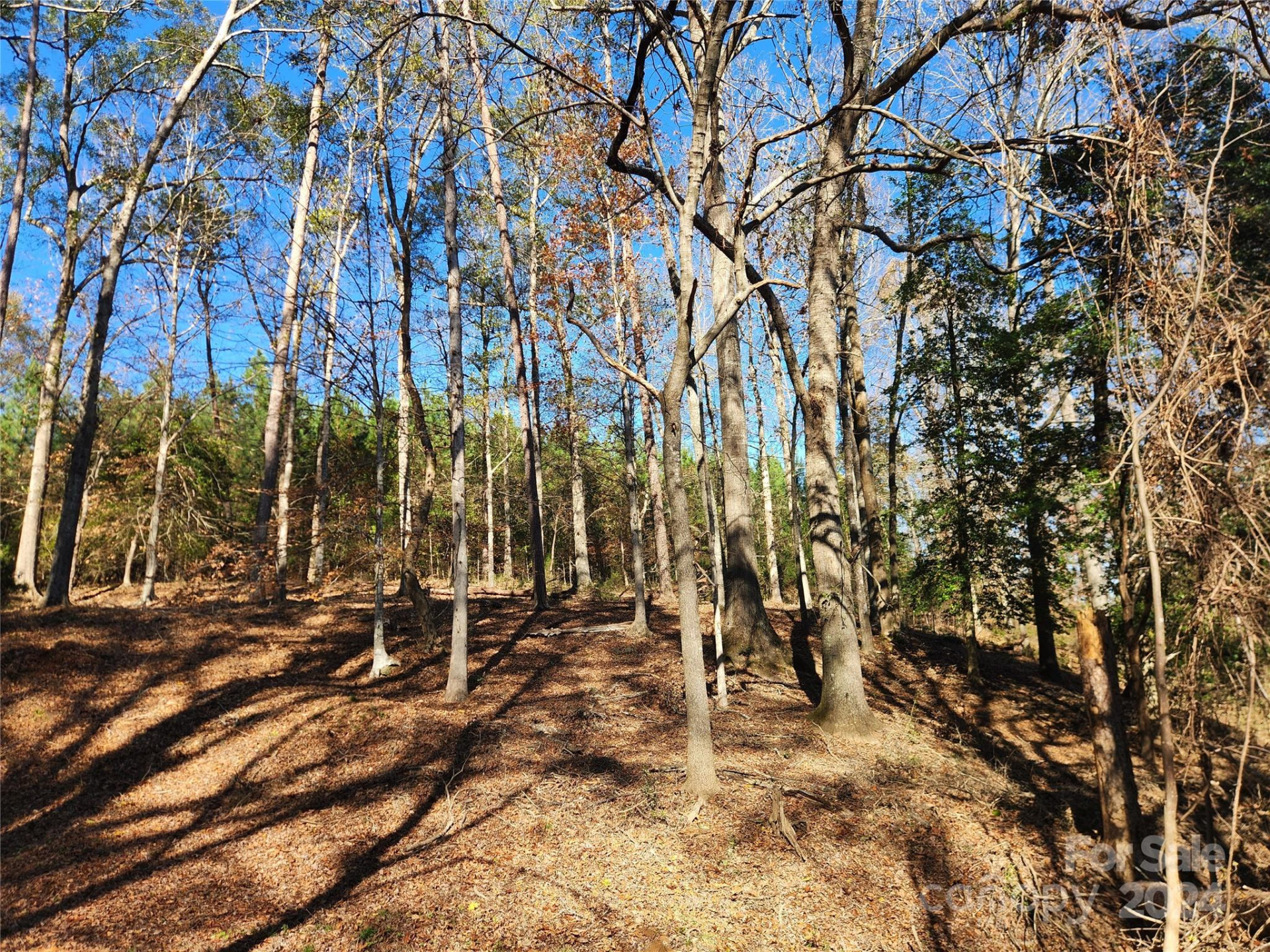 451 Low Bridge Road - Photo 30