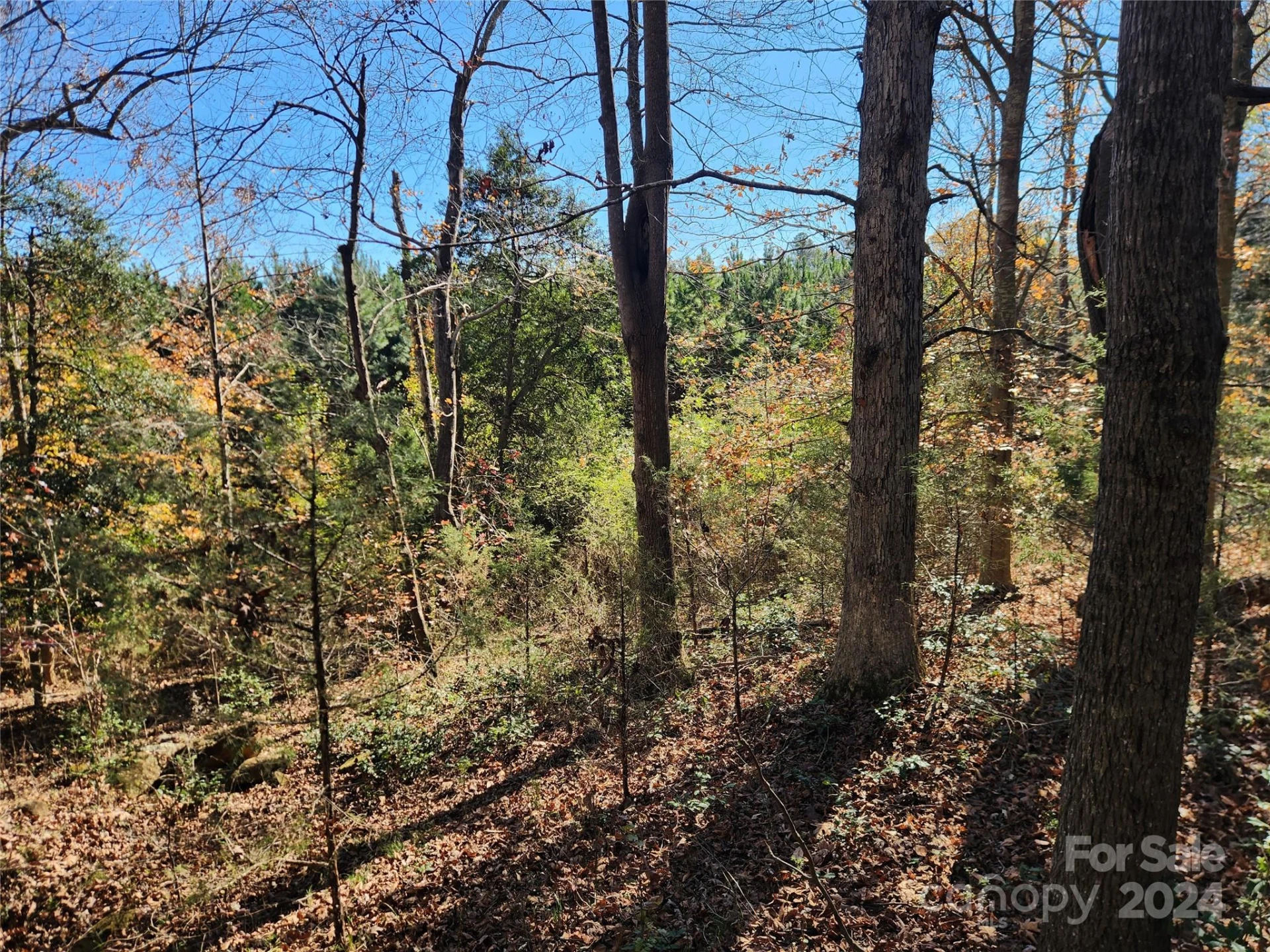 451 Low Bridge Road - Photo 4