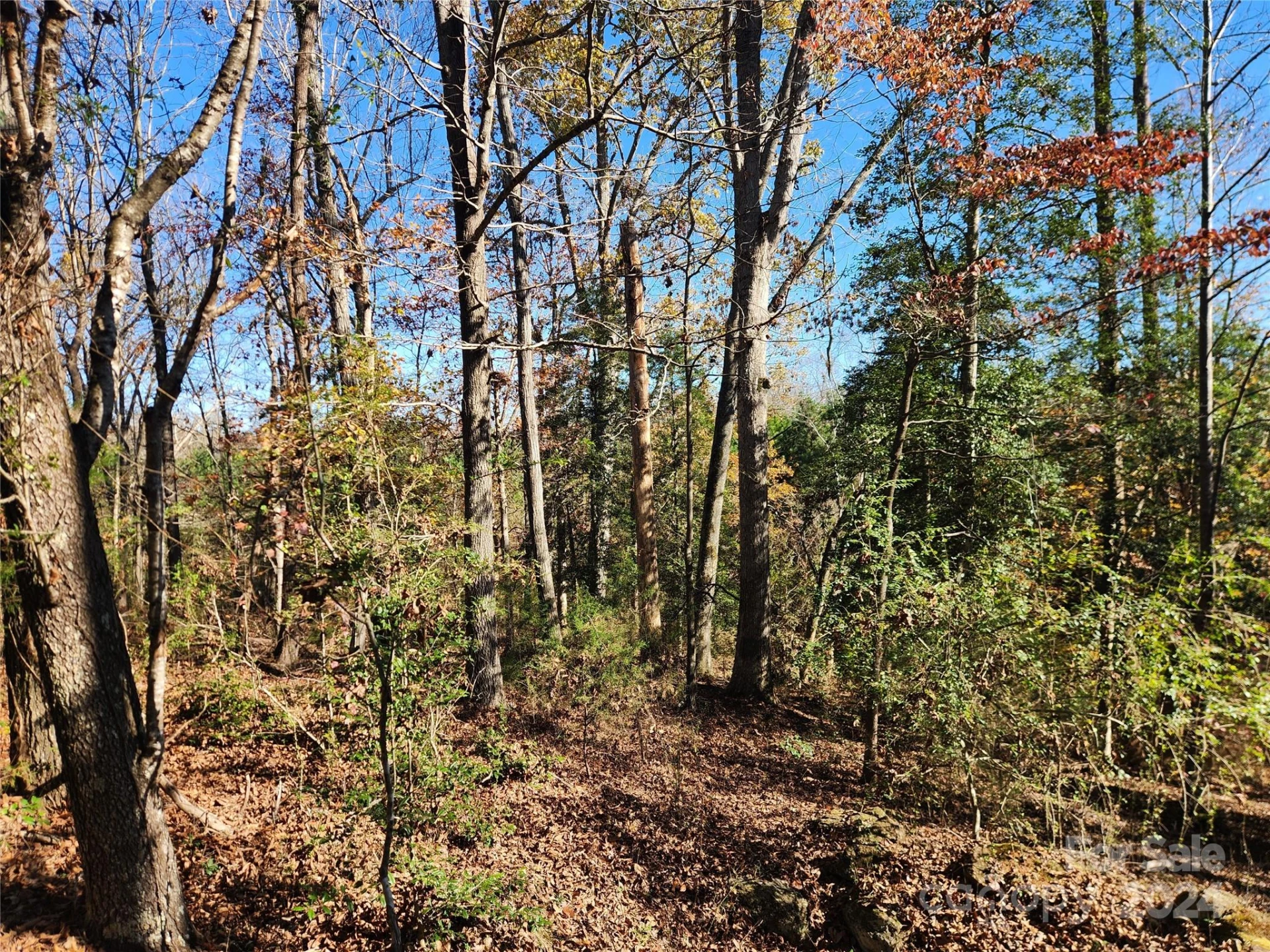 451 Low Bridge Road - Photo 31