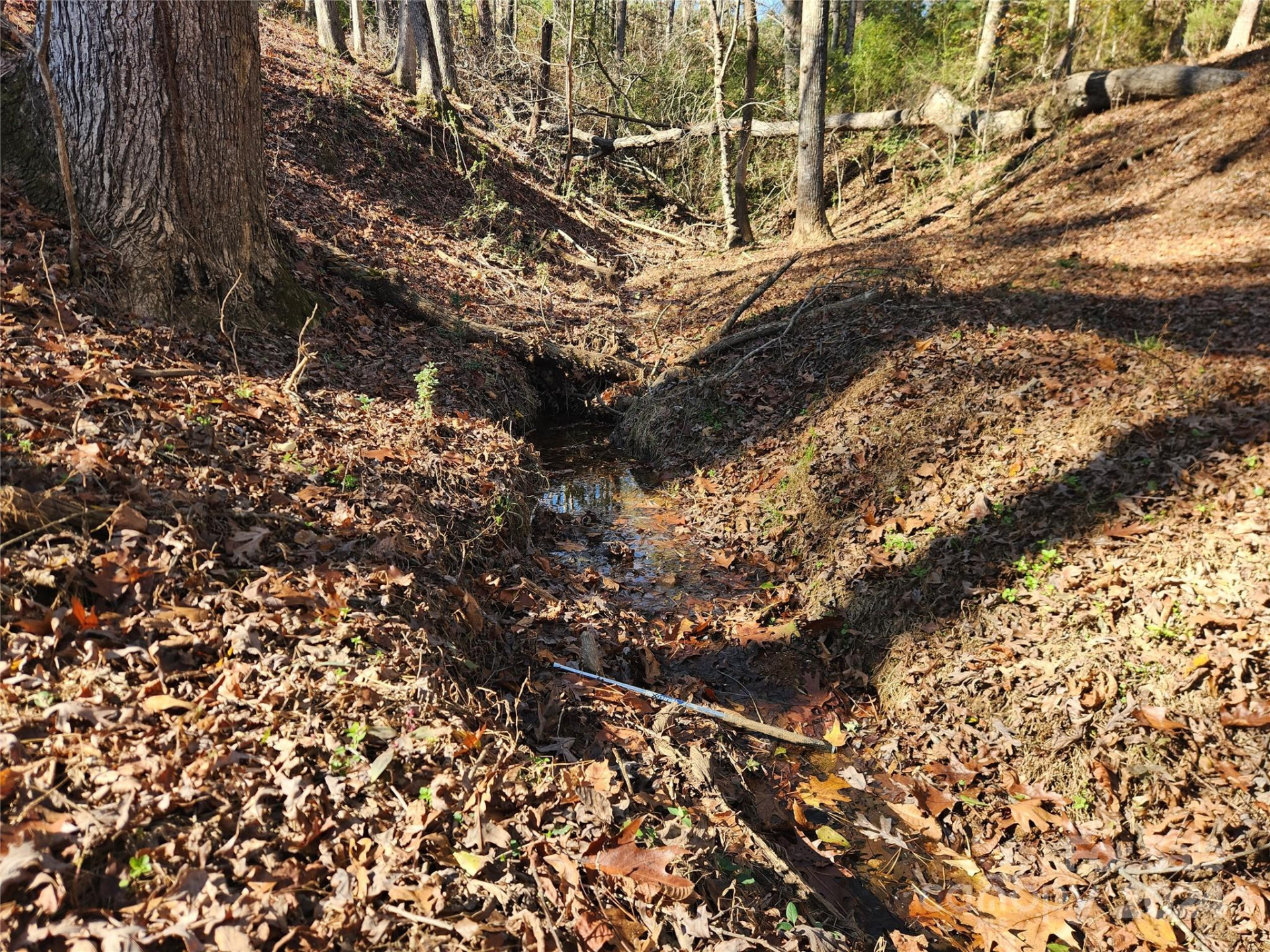 451 Low Bridge Road - Photo 5