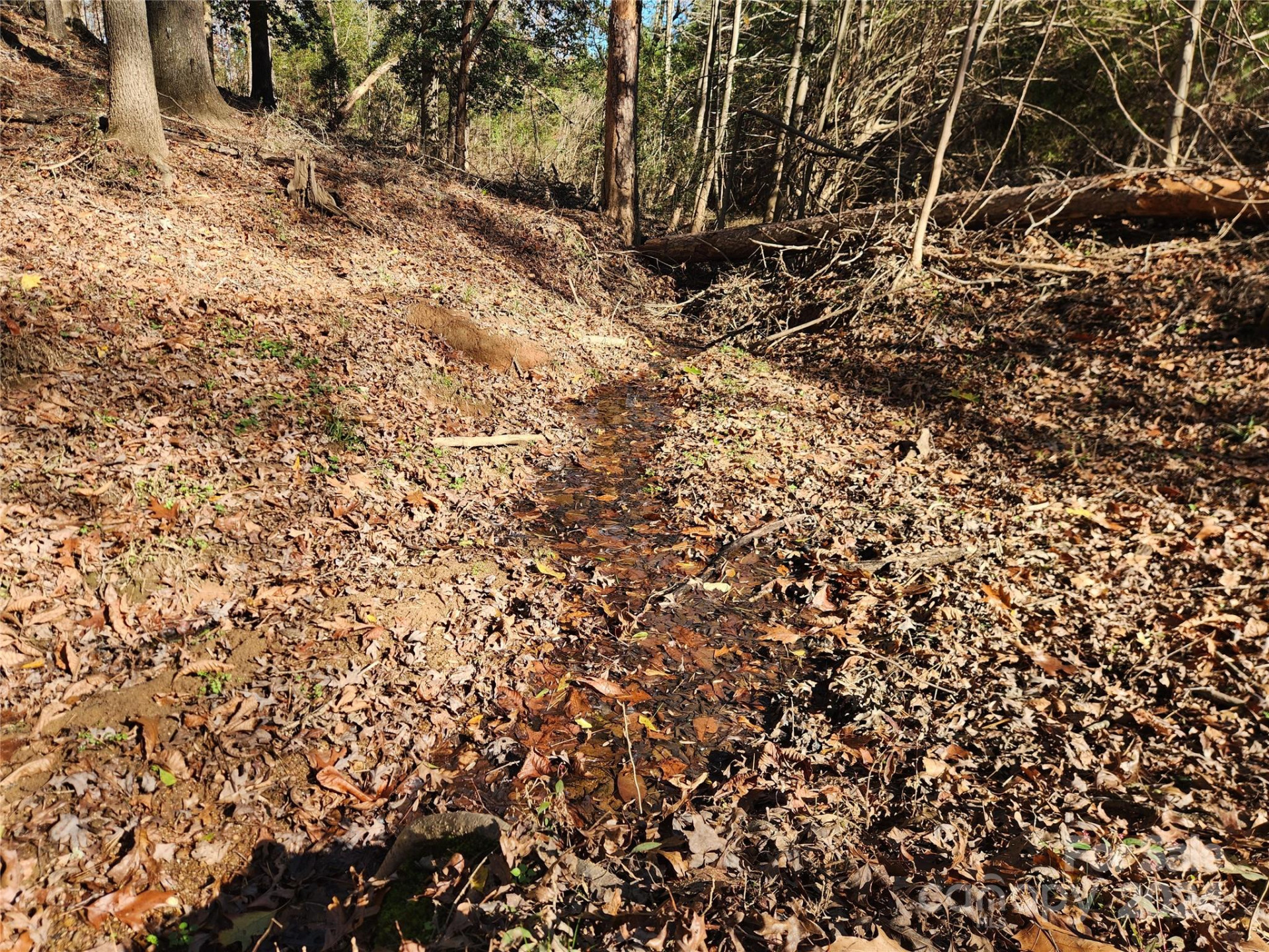 451 Low Bridge Road - Photo 6