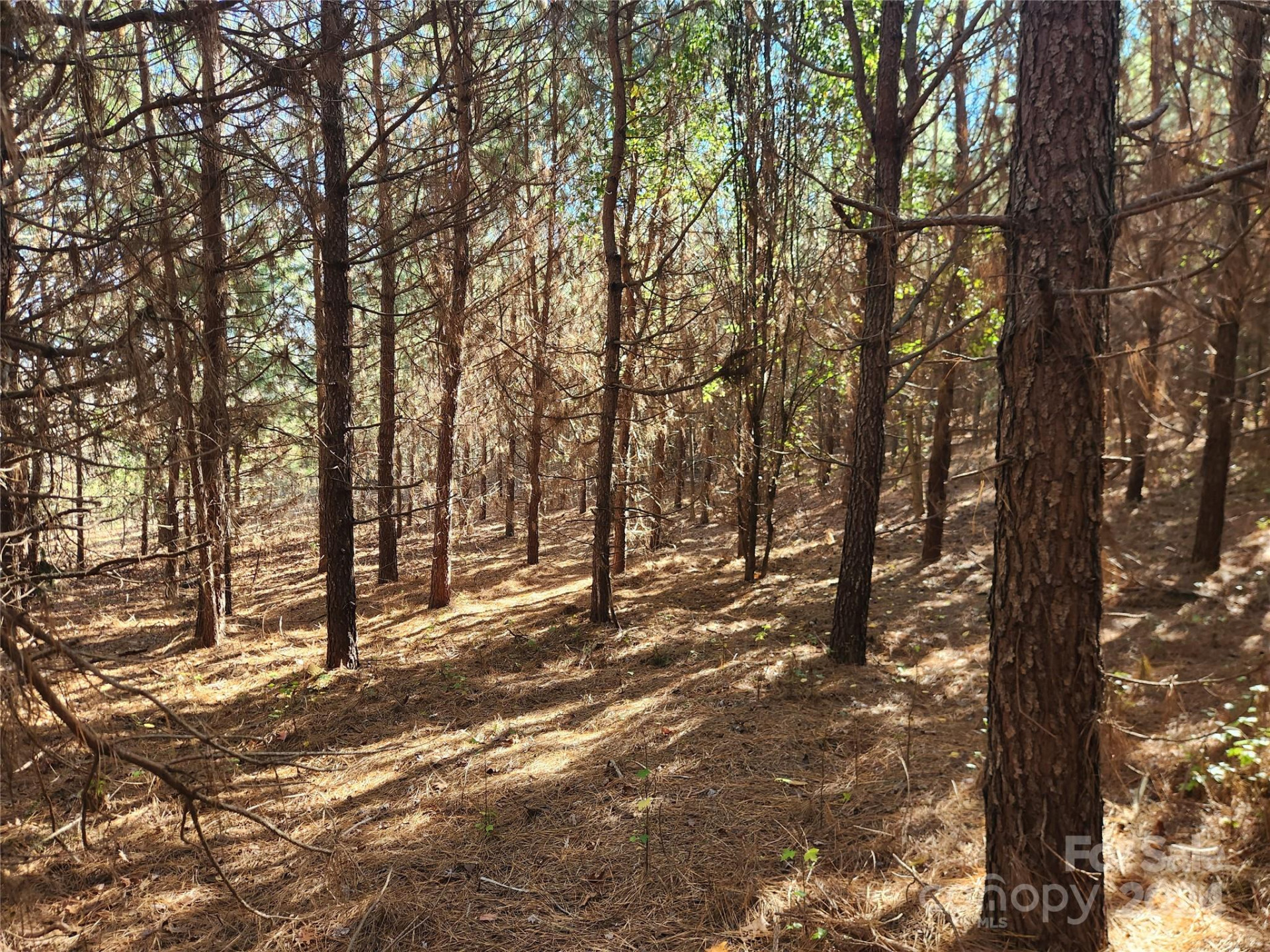 451 Low Bridge Road - Photo 7