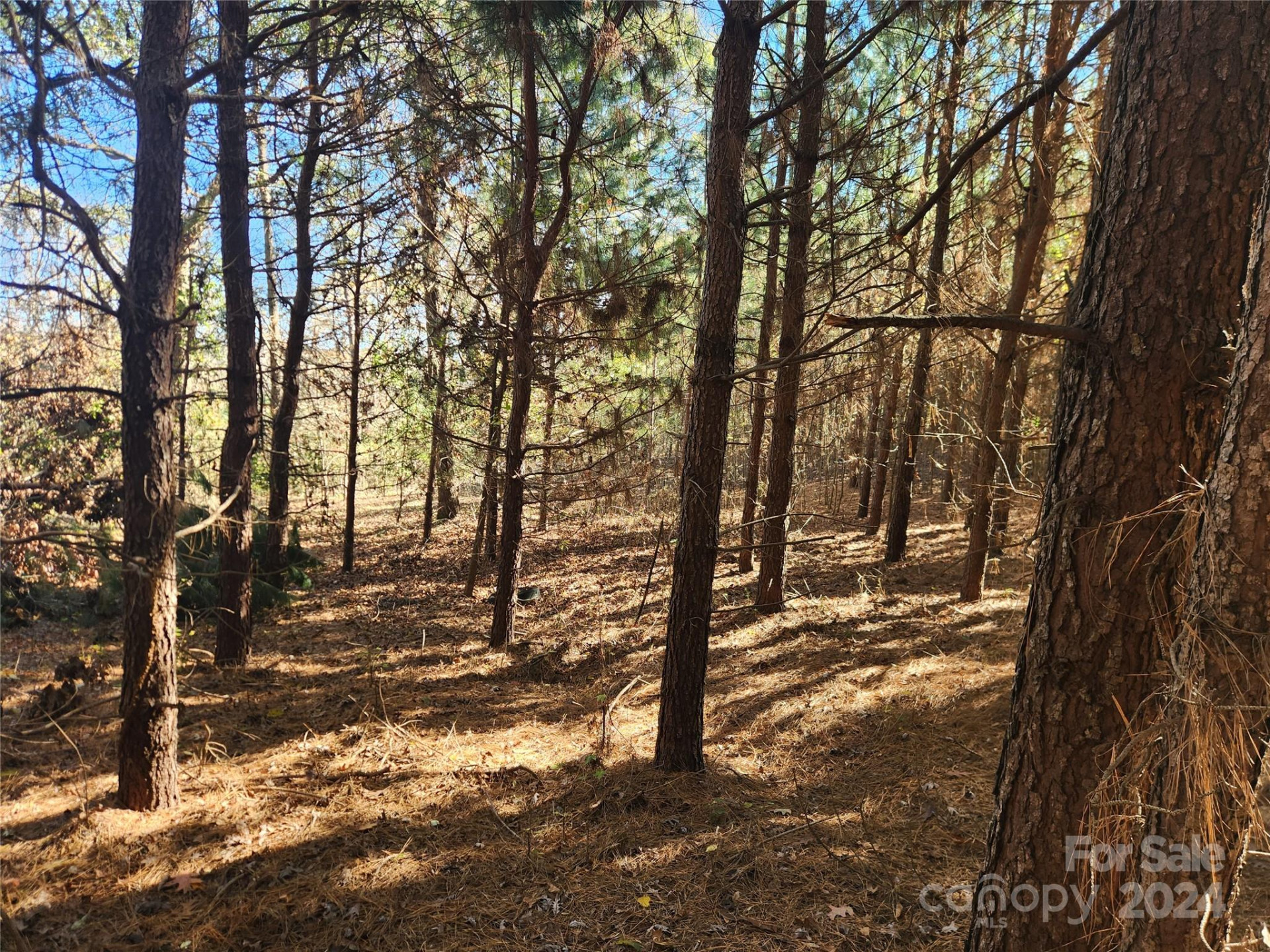 451 Low Bridge Road - Photo 8